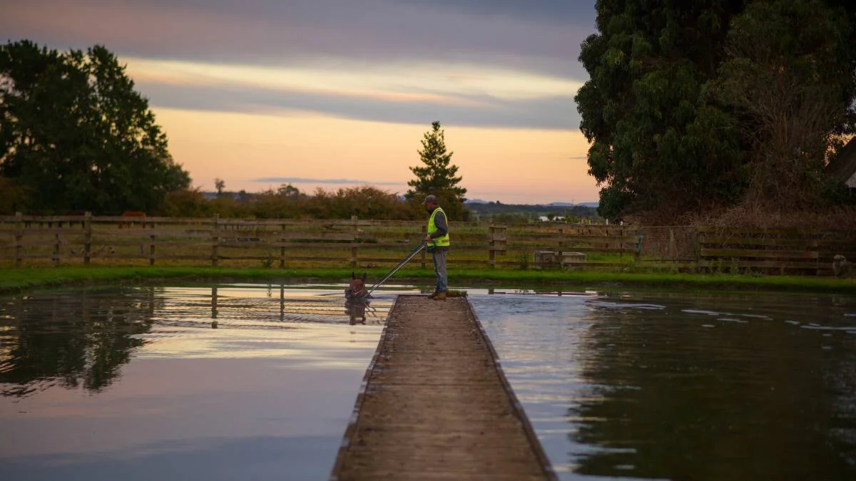 Hitting the Pool - the Benefits of Swimming for Thoroughbreds