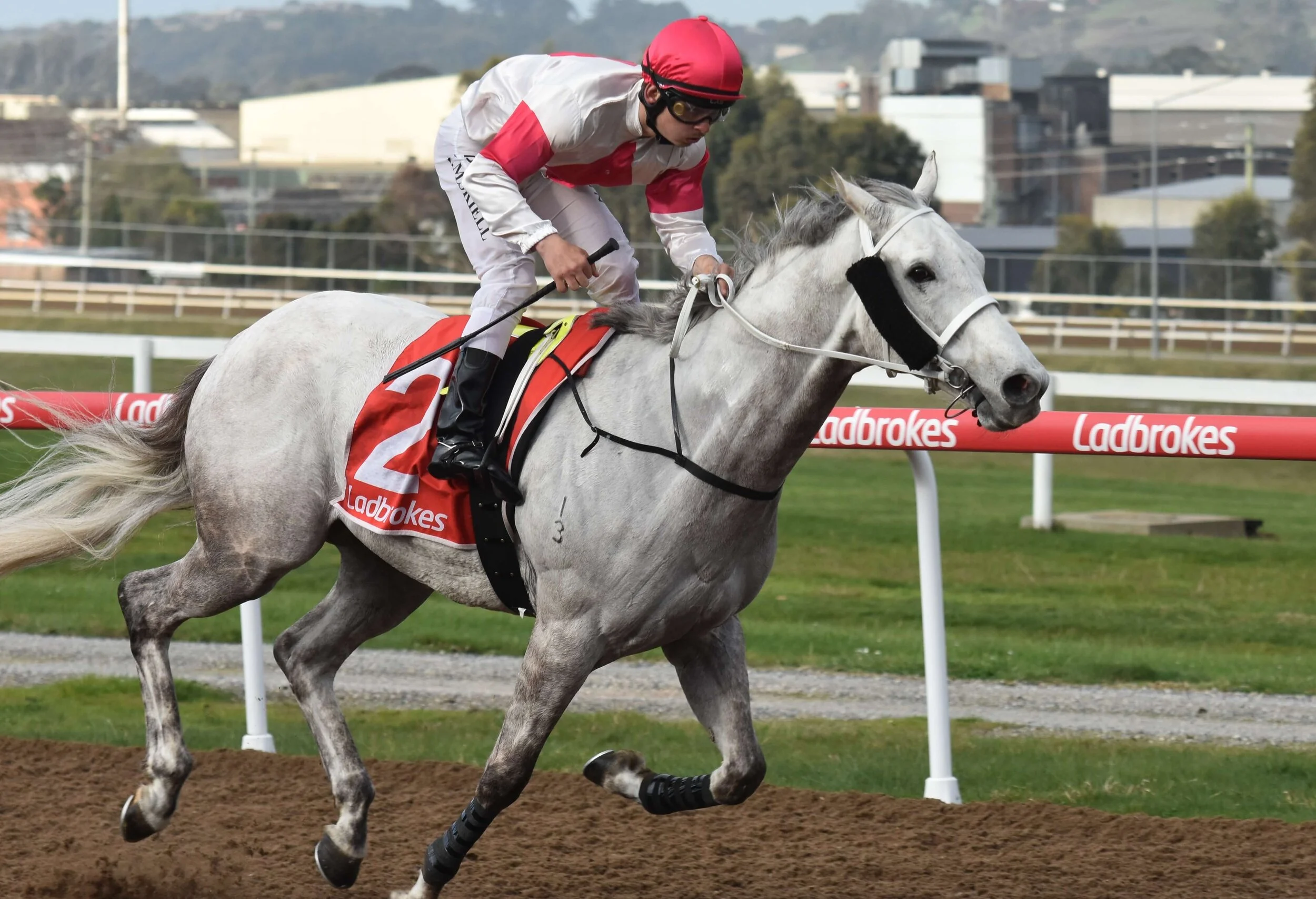 horse racing tasmania