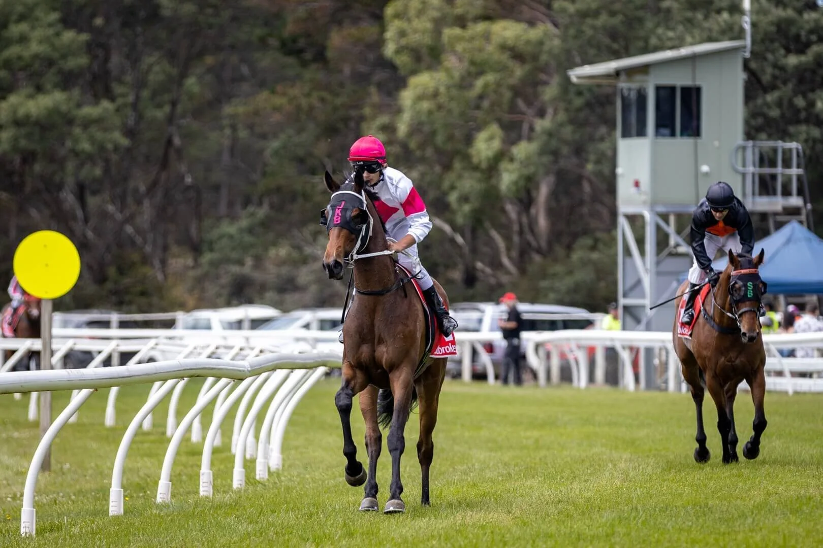 Moshama, Kyle Maskiell.jpg