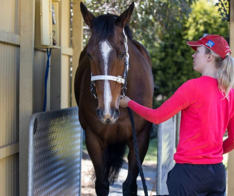 JKB weight bridge.jpeg