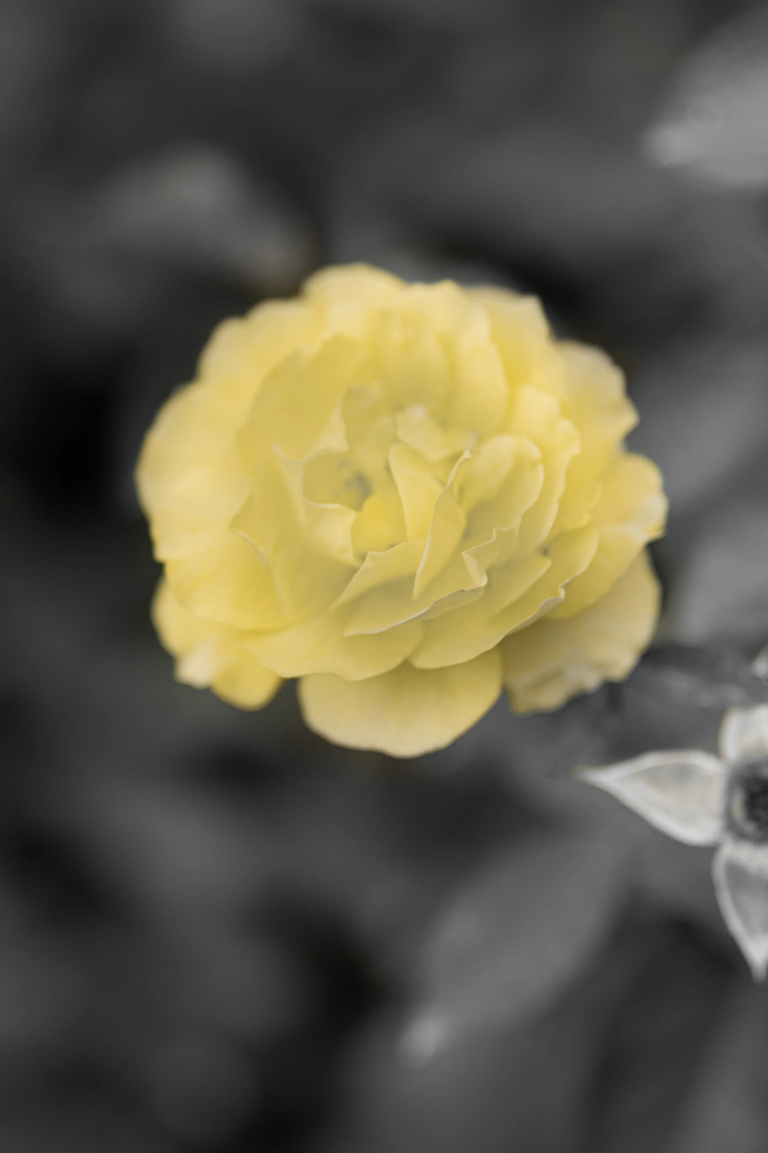 DSC_8490.jpg