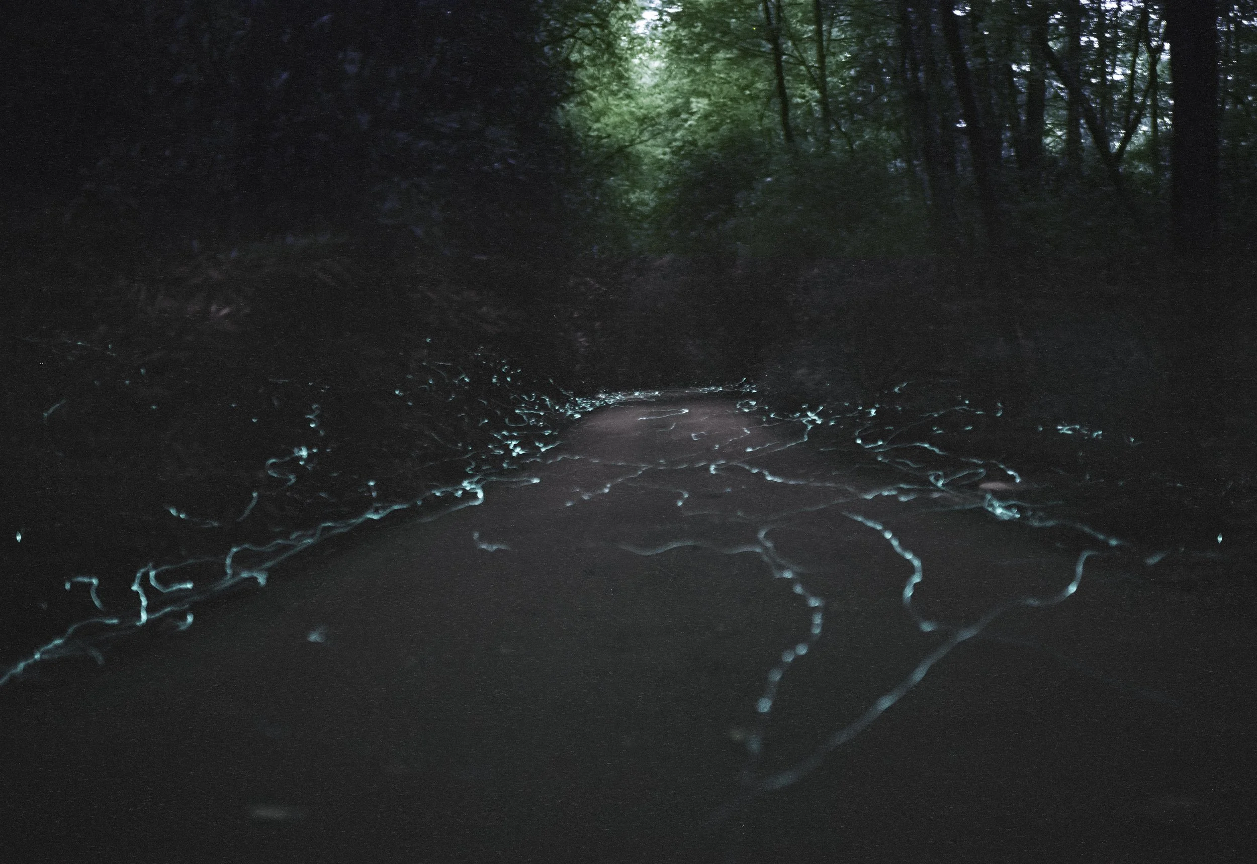 stack attempt_lapl4_ap11 copyb.jpg