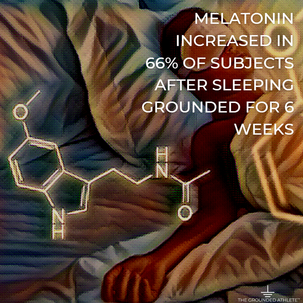 Earth & Mind Illustrations melatonin.png