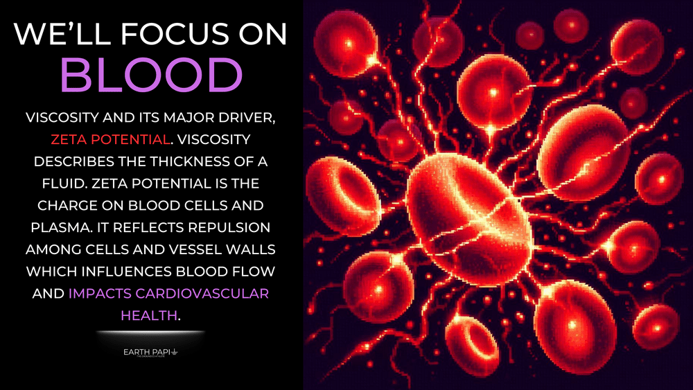 Zeta Potential Rbc Earth & Heart Series, Part 1, Zeta Potential and Blood Viscosity — THE ...