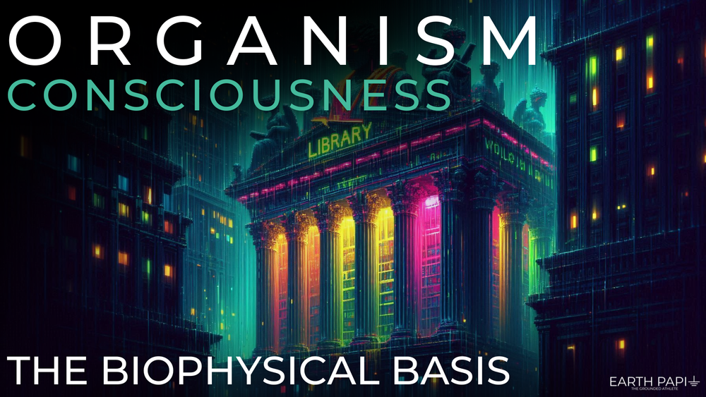 Organism Consciousness — THE GROUNDED ATHLETE, LLC
