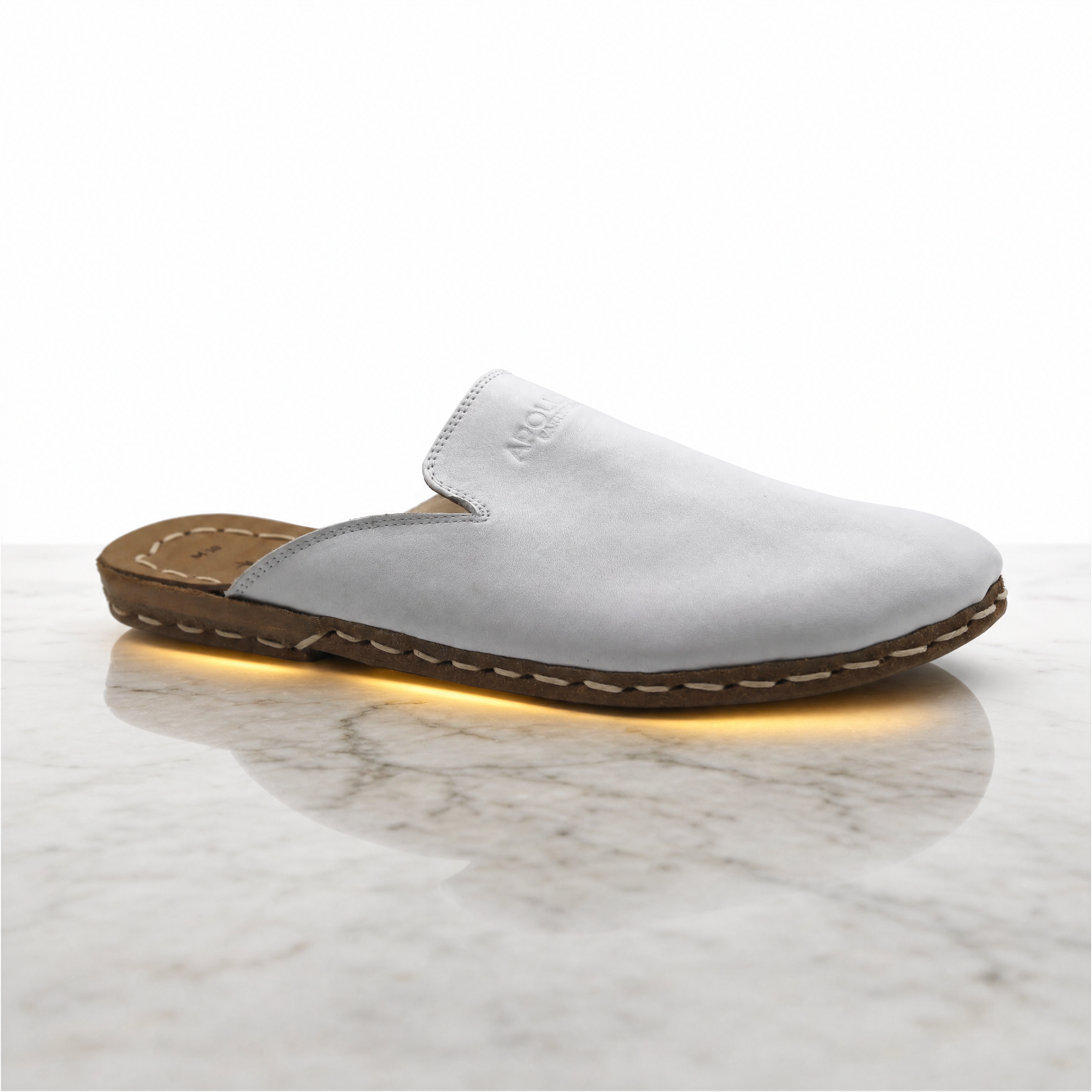 Apollo Earthwear - Conductive Slipper Slide