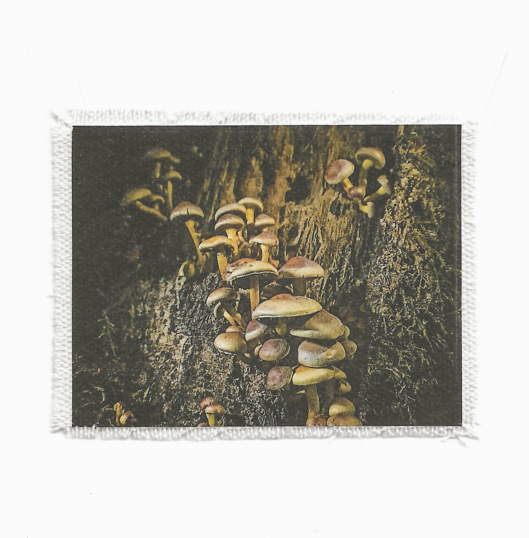 Cluster mini Patch