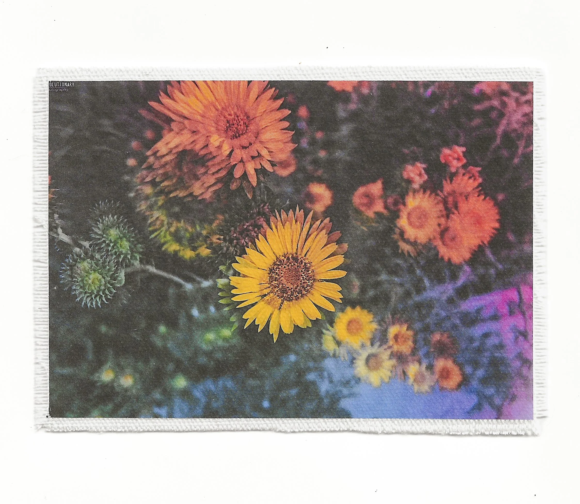 Future Flowers 3.5x6 Patch