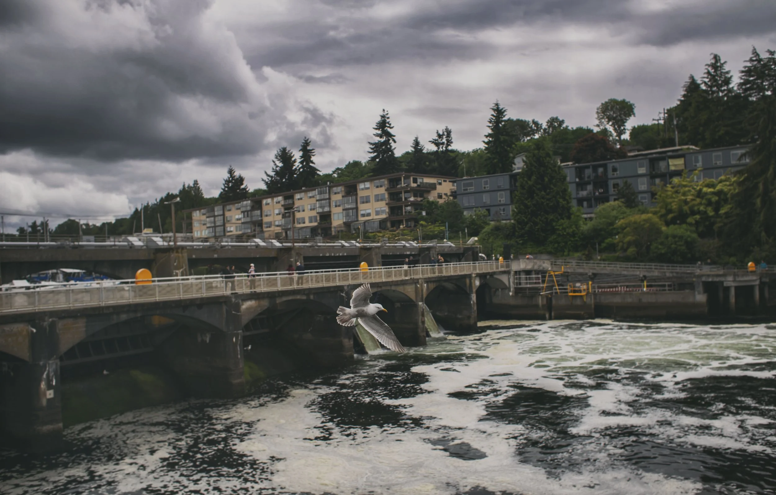 Seattle Locks Print