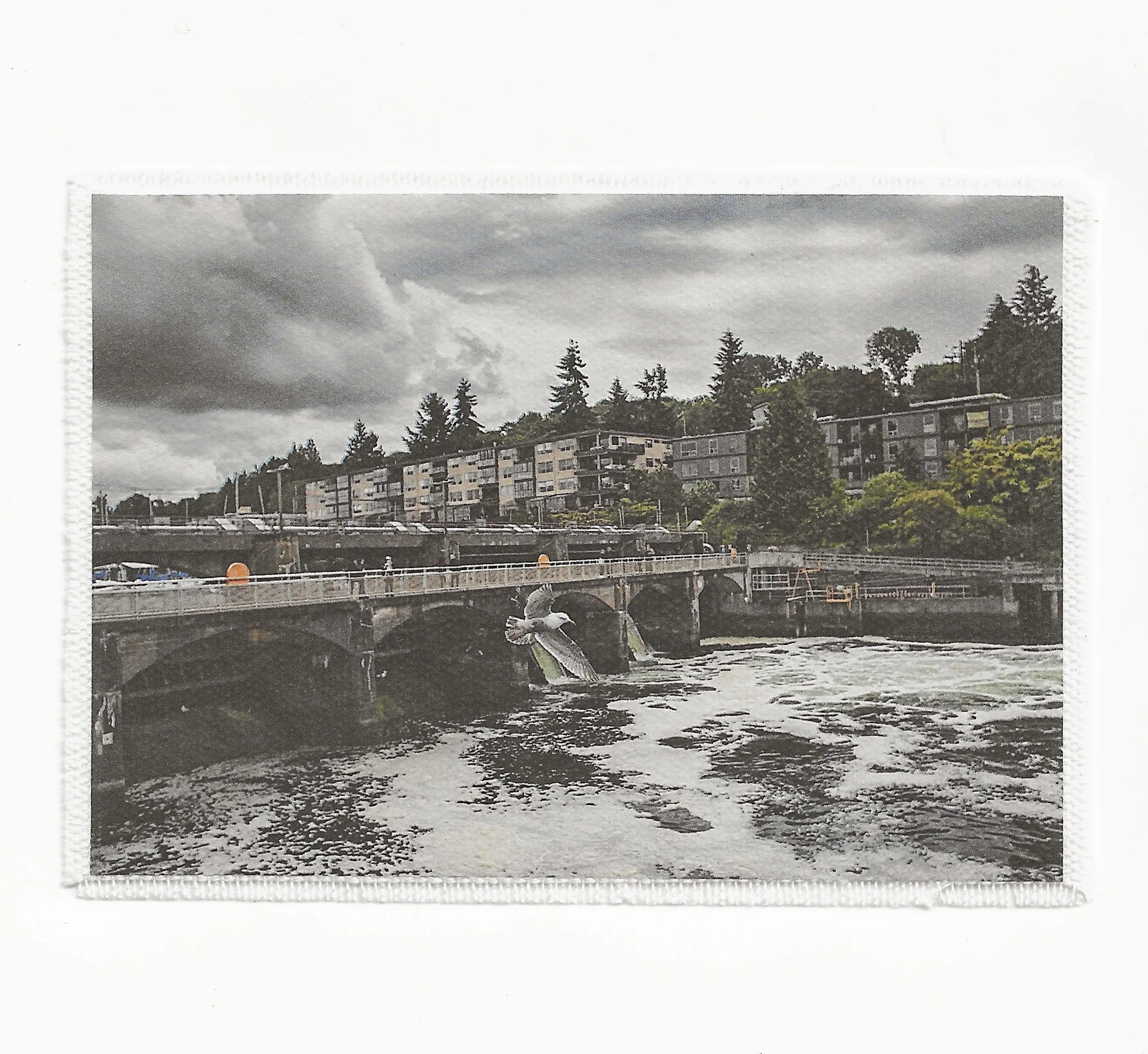 Seattle Locks 3.5x6 Patch