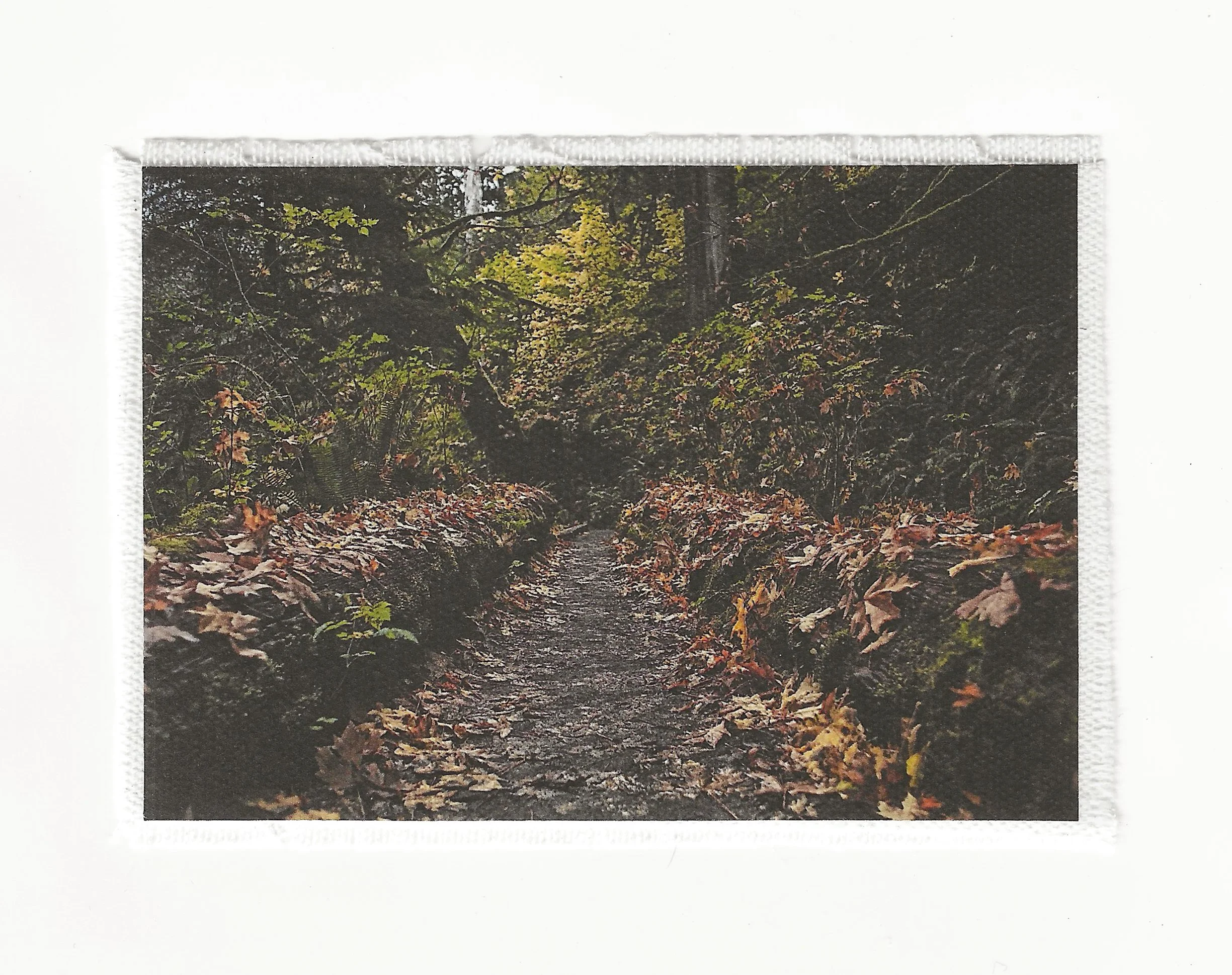 Fall Pathways 3.5x6 Patch