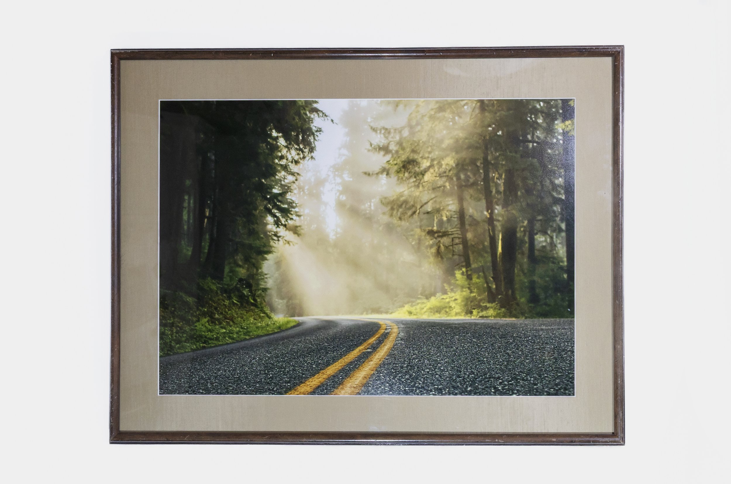 Hoh Rainforest Framed Print