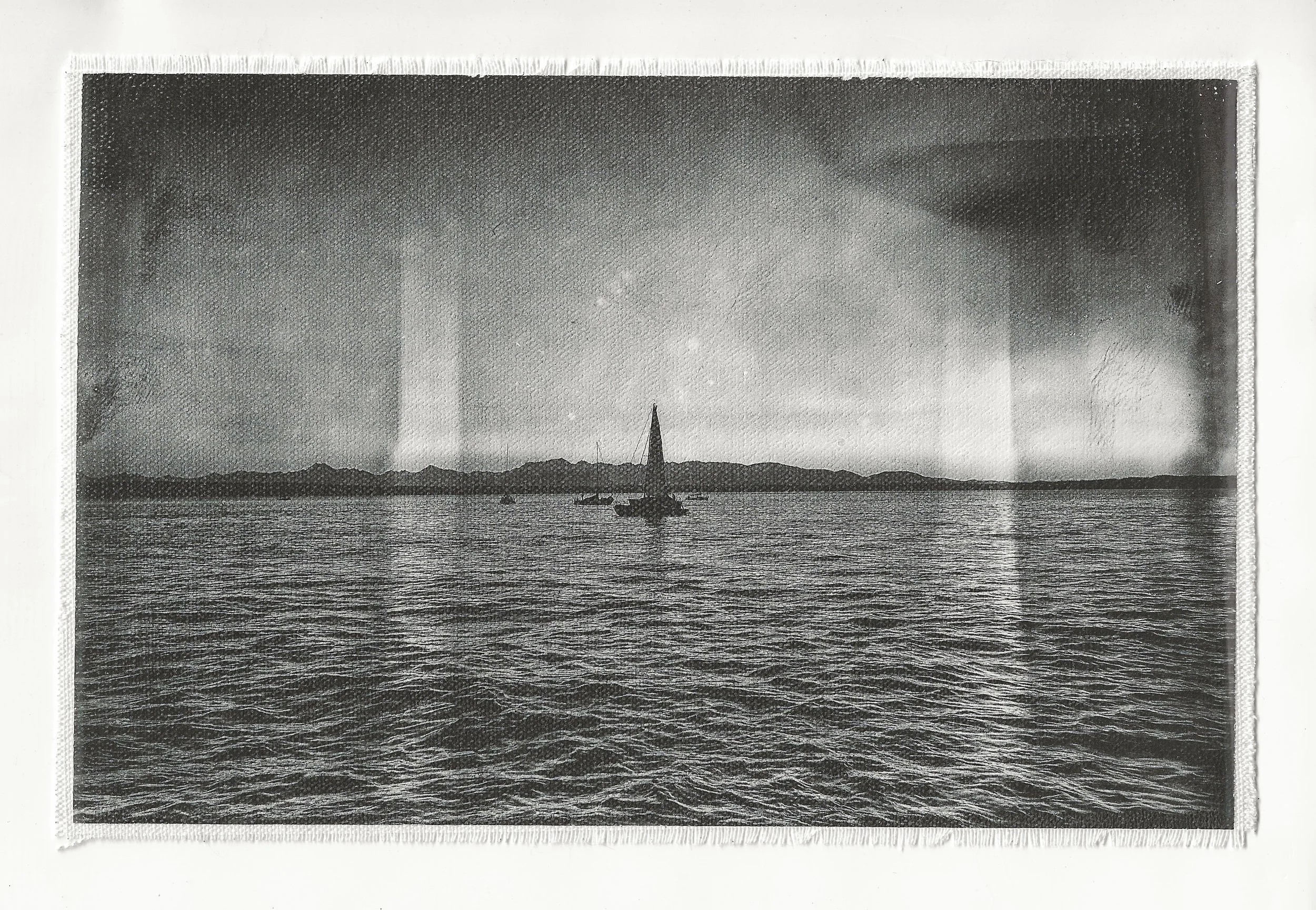 Golden Gardens Bnw Large Back Patch