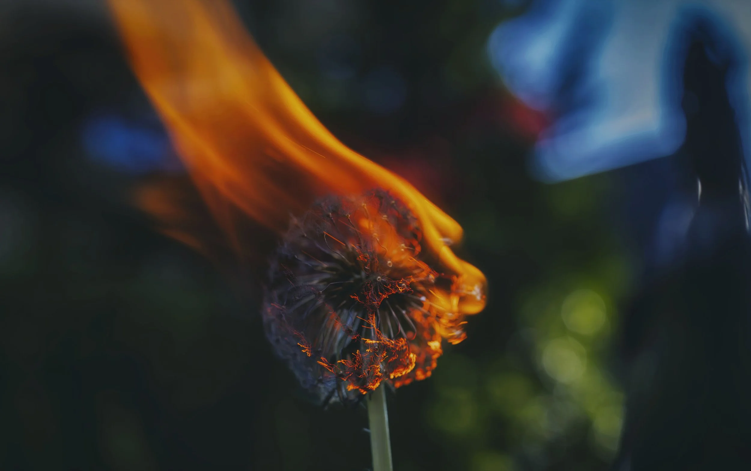 Up In Flames Print