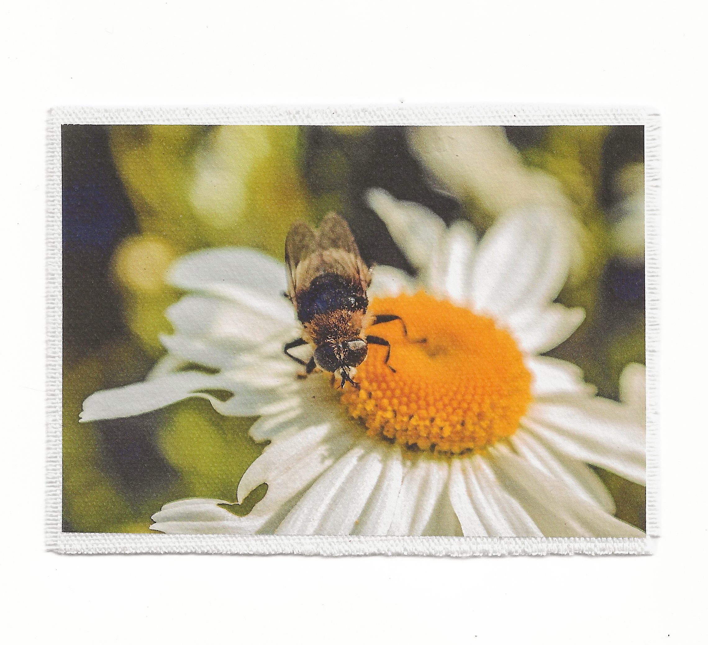 Pollinator 3.5x6 Patch