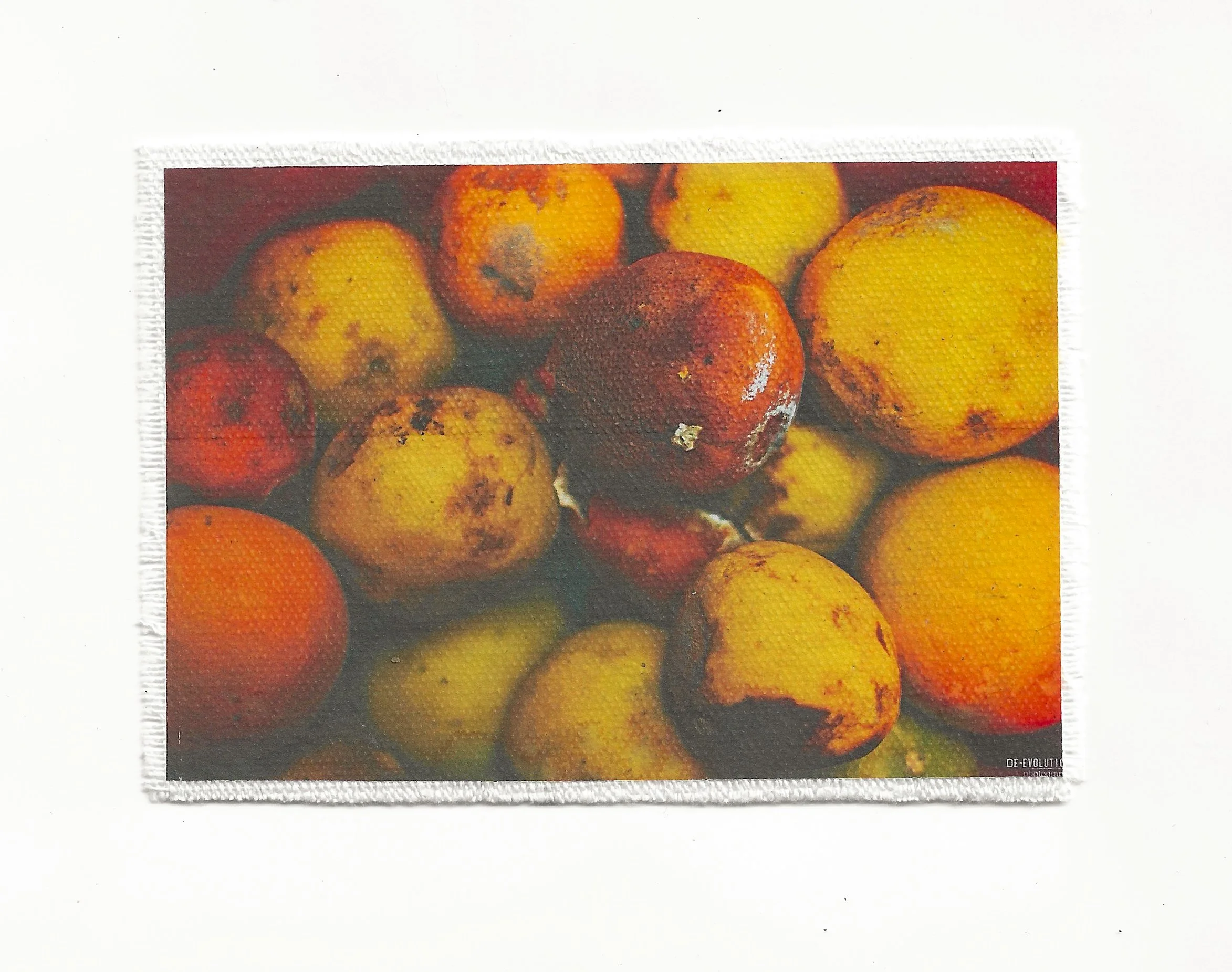 Rotting Fruit 3.5x6 Patch
