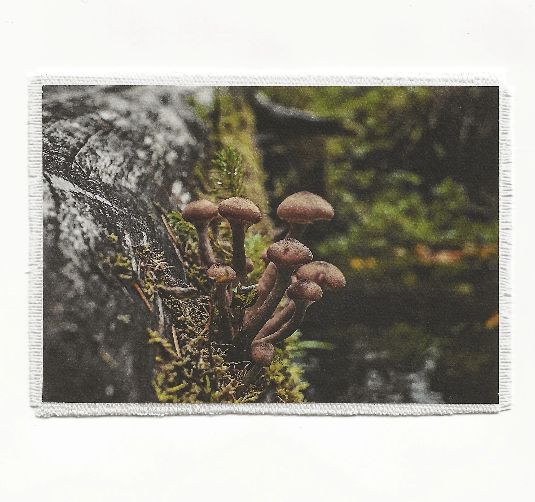 Cluster 3.5x6 Patch