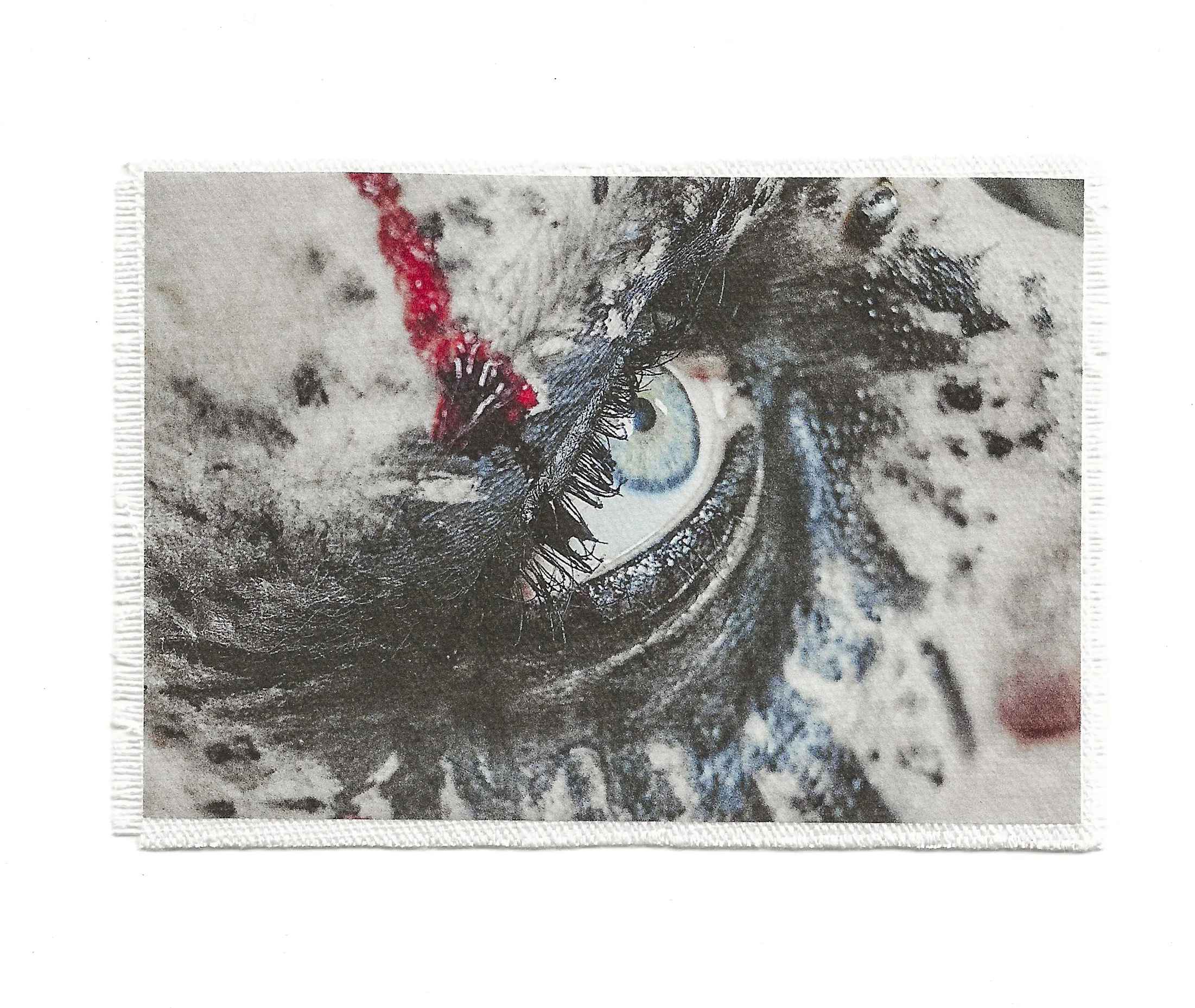 Blurred Vision 3.5x6 Patch