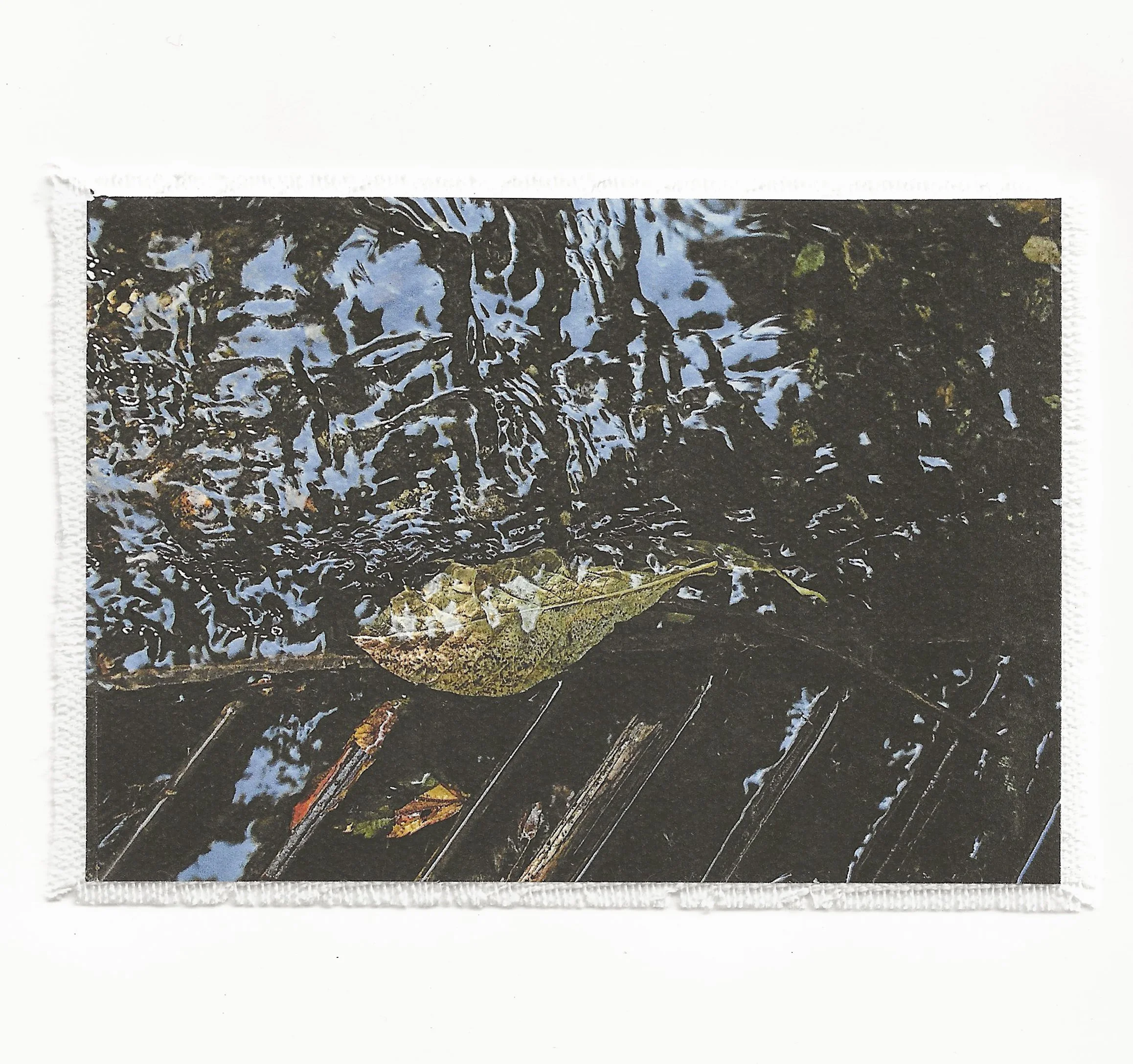 Nature and Man 3.5x6 Patch
