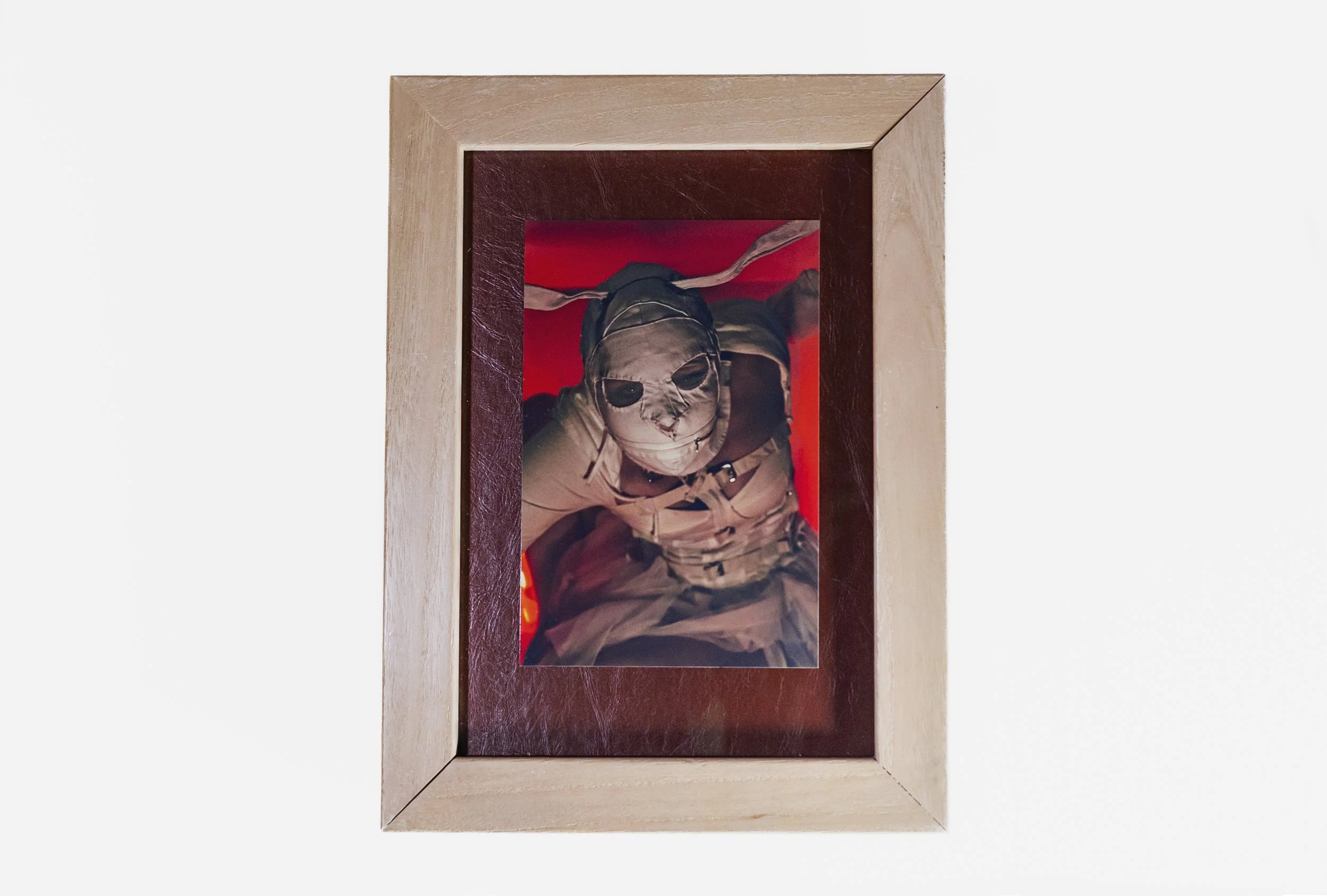 Gimp Bunny Framed Print