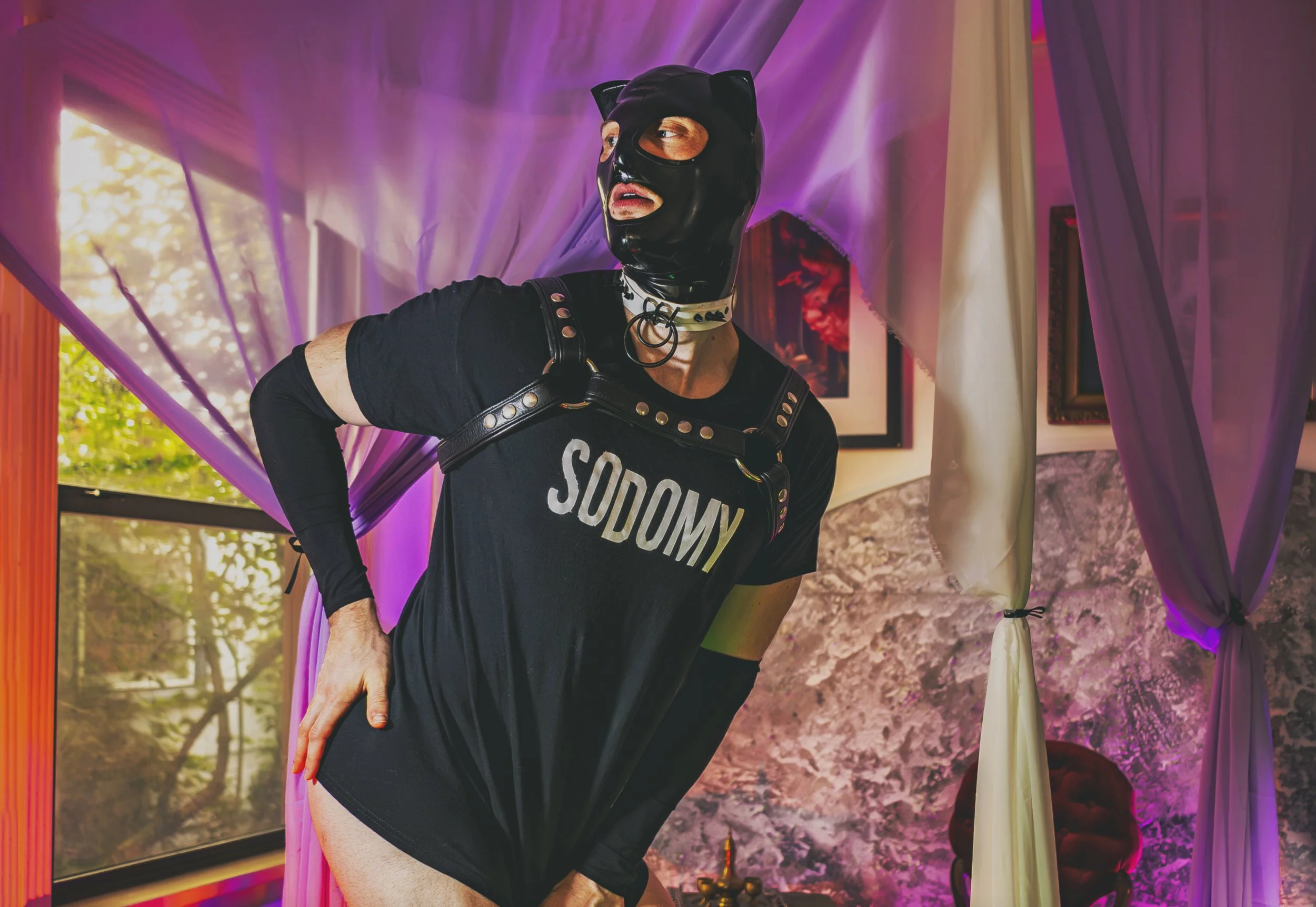 Sodomy TShirt