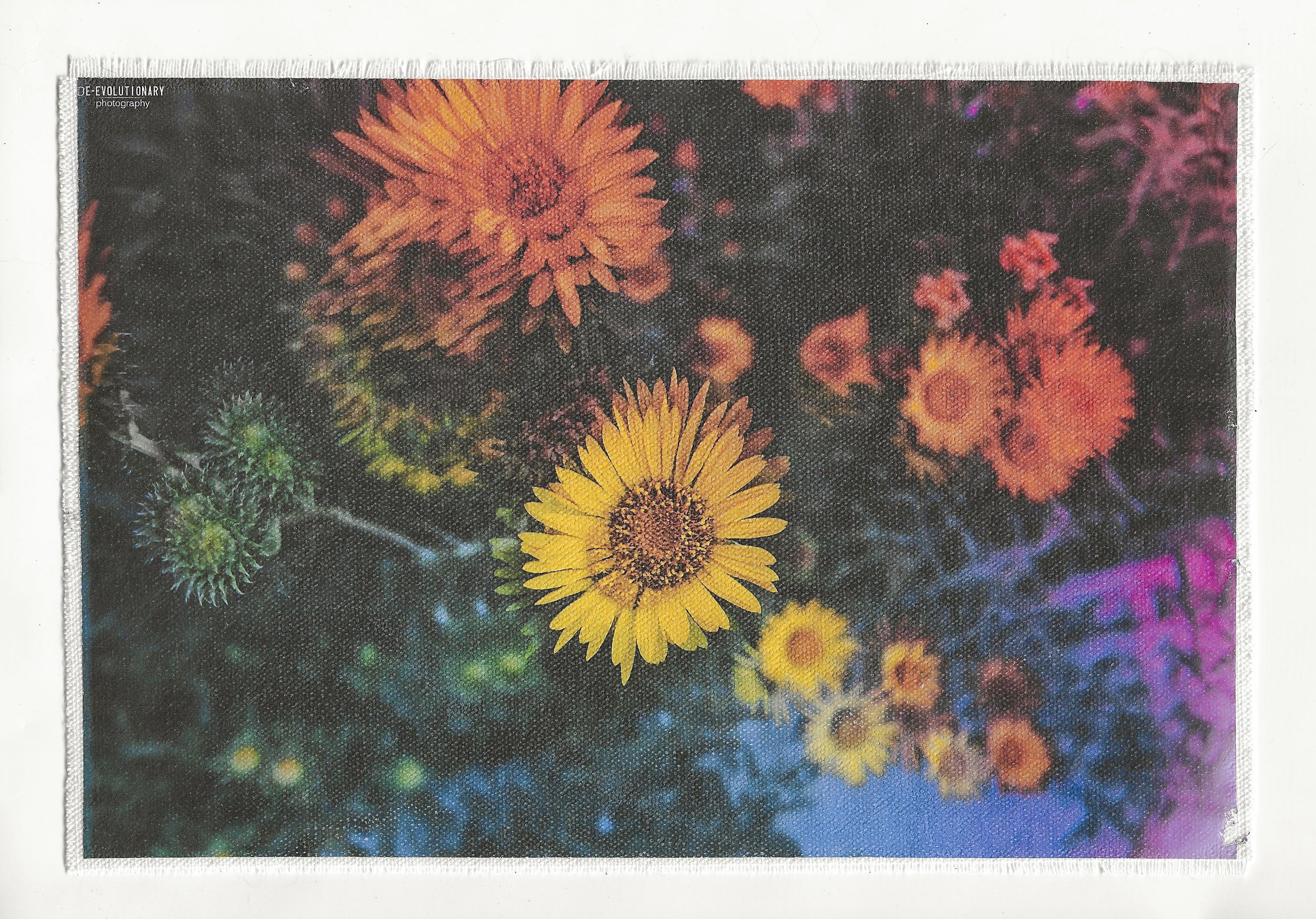 Future Flower Large Back Patch