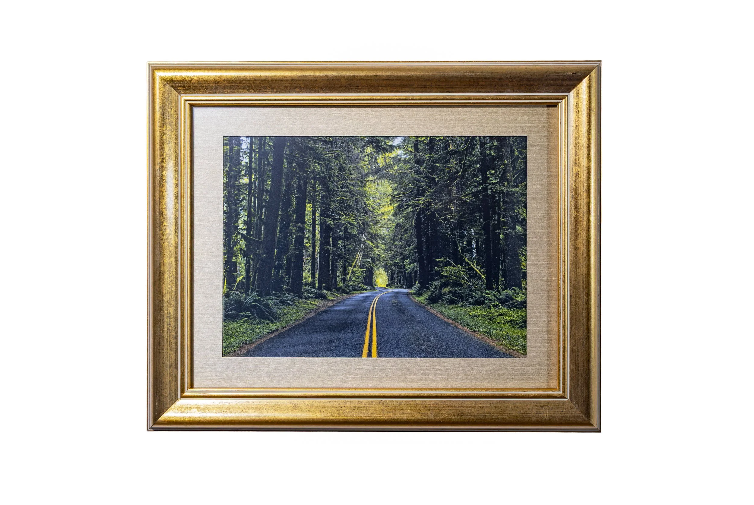 Hoh Rainforest Bend Framed Print