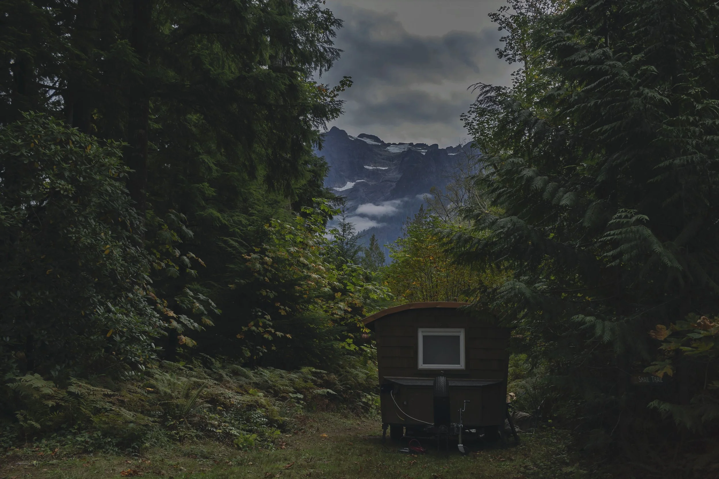 Darrington Print