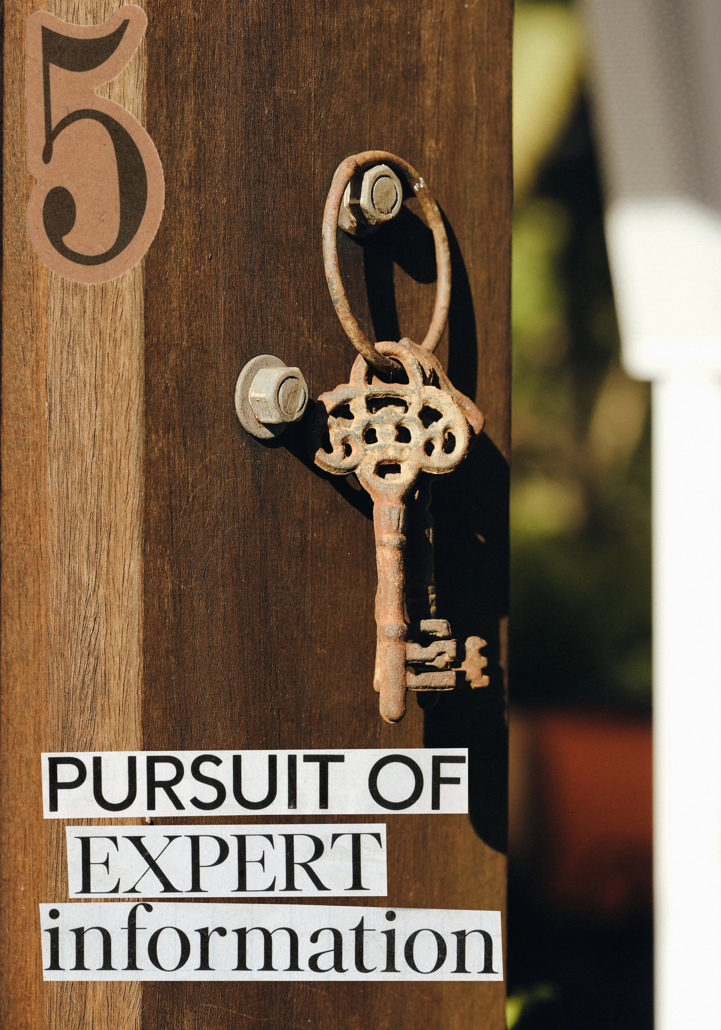 5 - The Hierophant.jpg