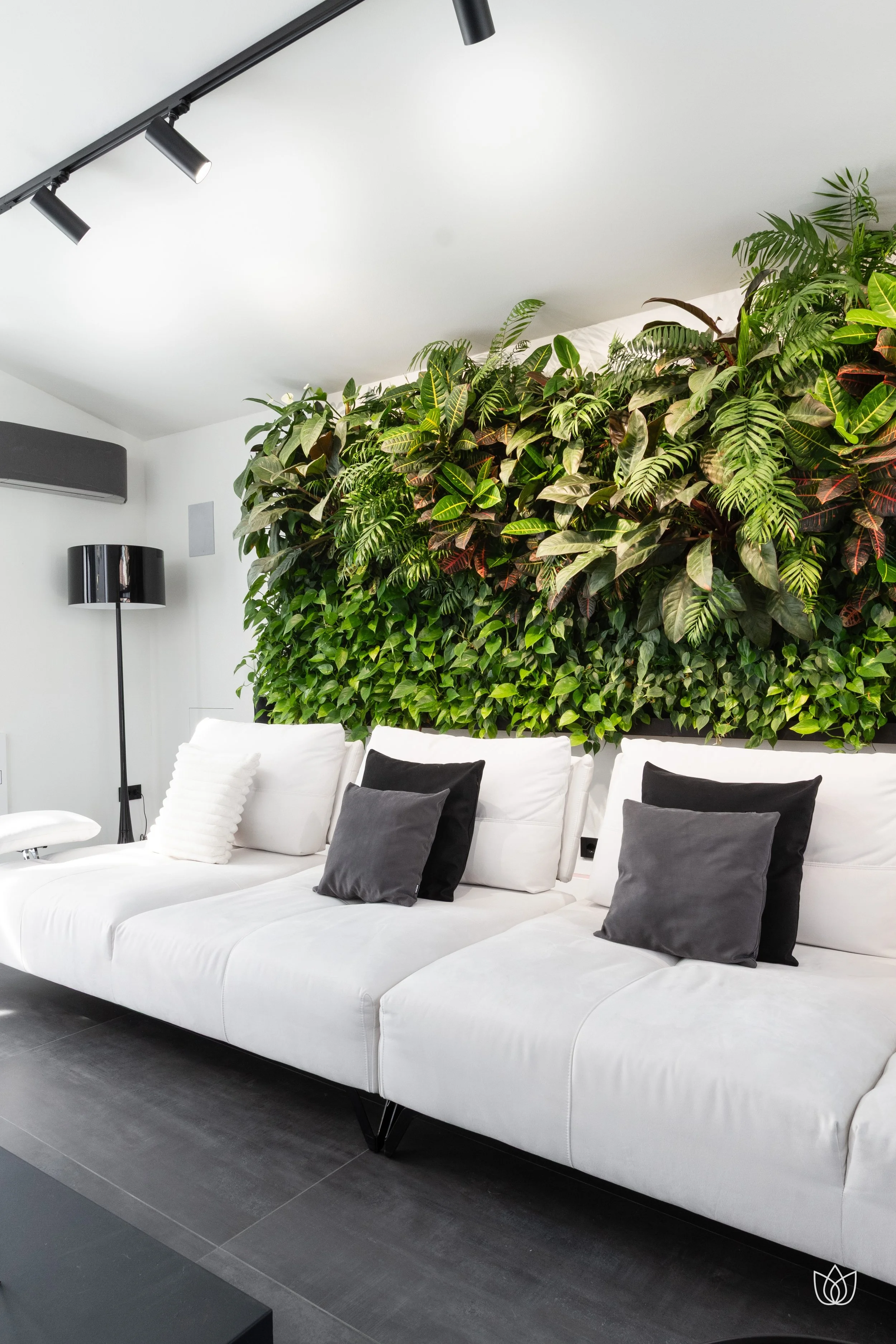 Living room with white sofas, black and gray cushions, and green wall with plants