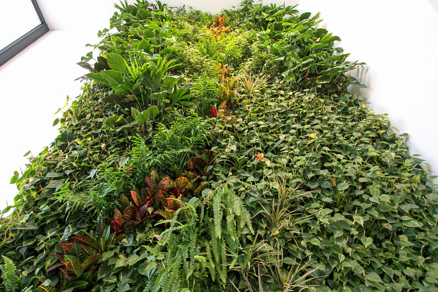 packaging-garden-vertical-wall-green-sundar-italia-008.jpg