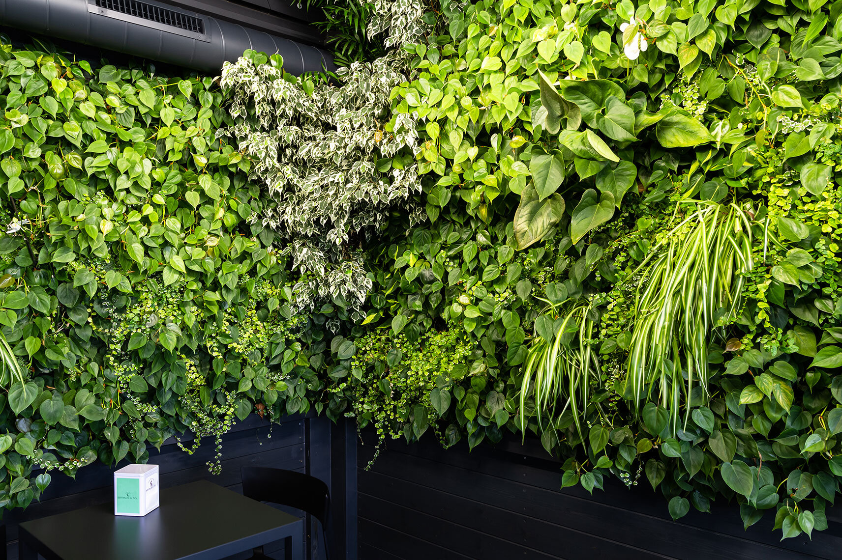 house-of-sweet-garden-vertical-wall-green-sundar-italia-004.jpg