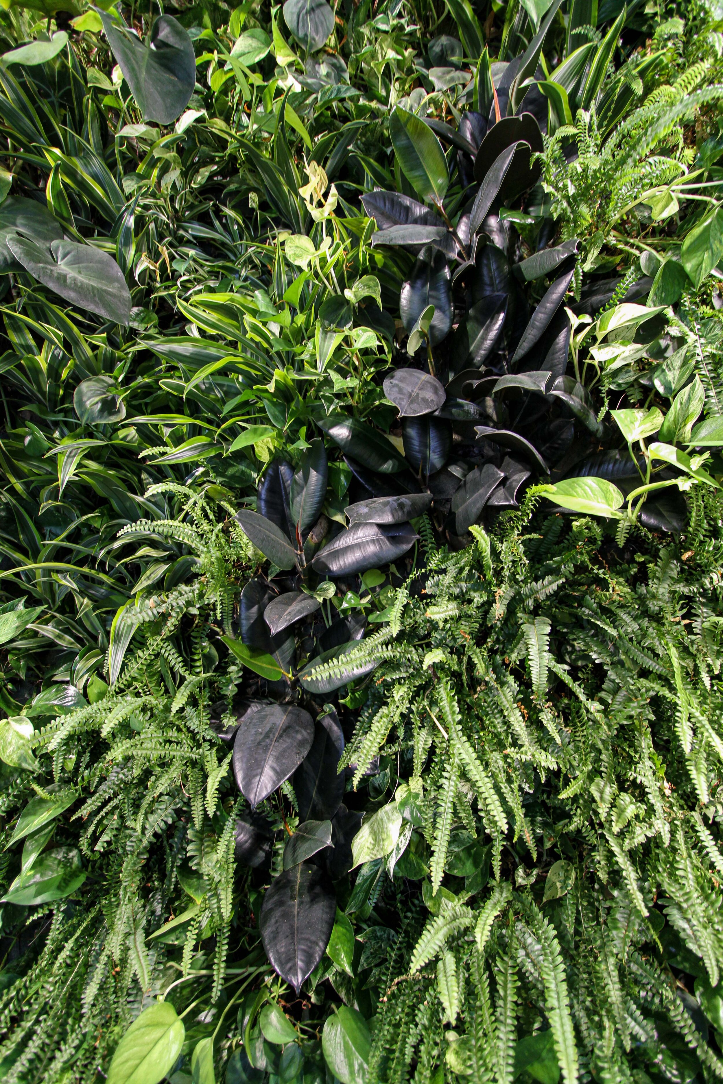 gam-garden-vertical-wall-green-sundar-italia-005.jpg