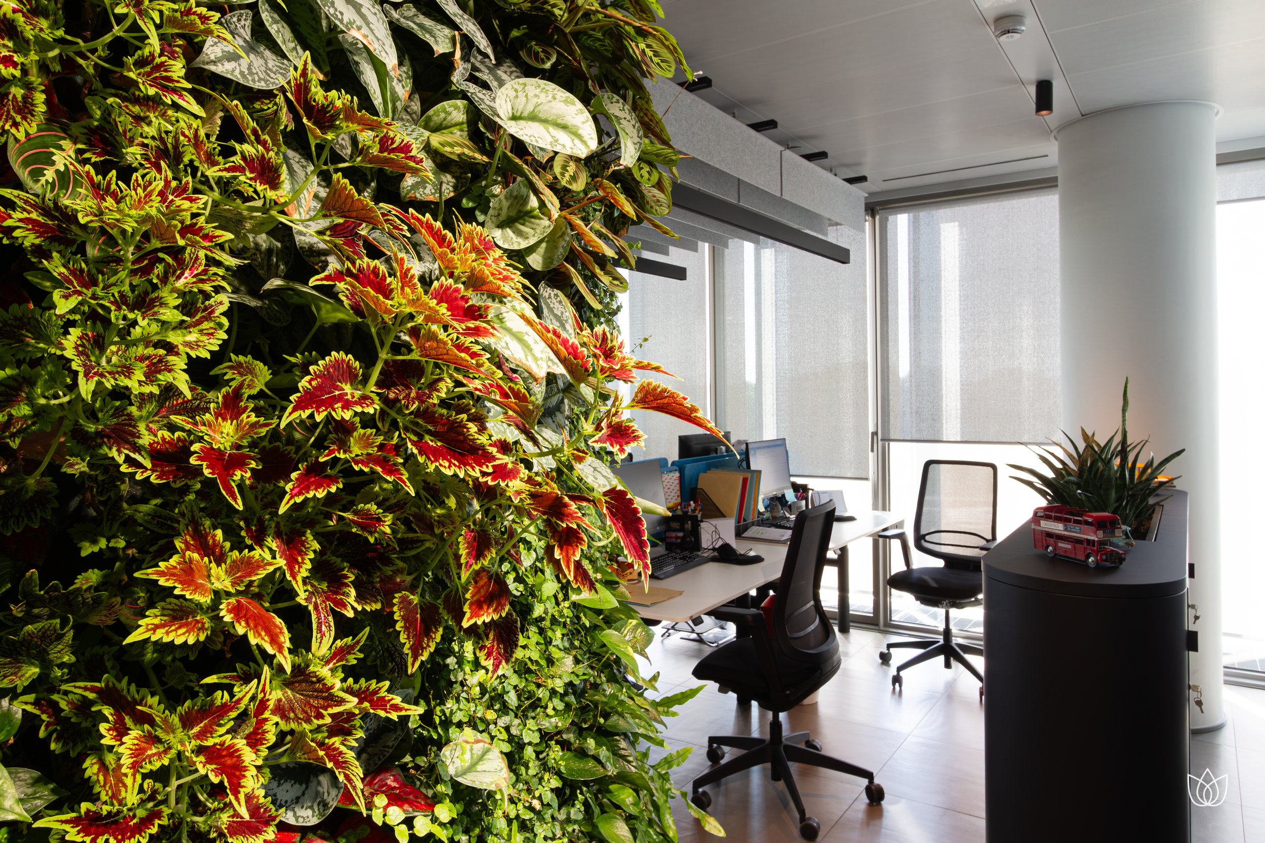 Ufficio con parete verde composta da piante, scrivanie con computer e sedie, finestra grande con tende di tessuto, arredamento moderno e oggetti decorativi come veicoli in miniatura.