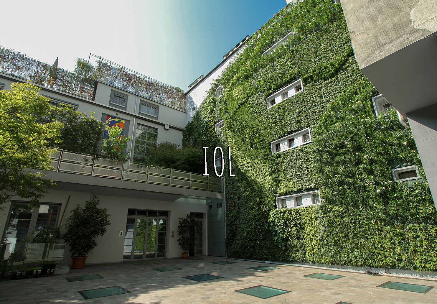 Vertical Garden, Green Wall, Outdoors, Residential, Turin