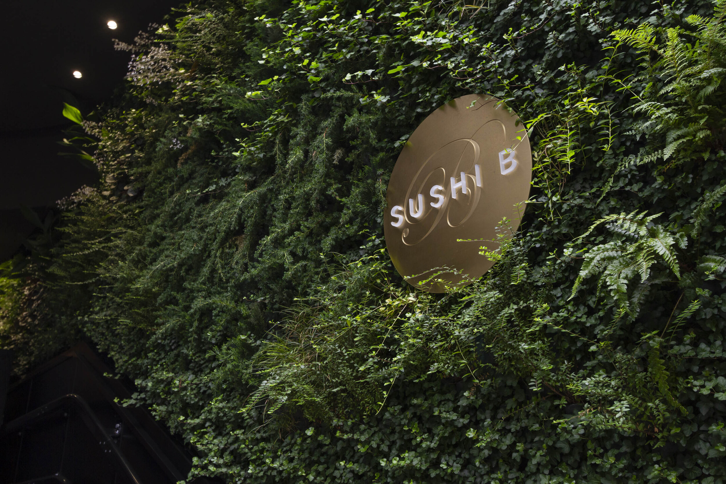 Sushi-B-Sundar-Italia-Vertikale Gärten-004.JPG