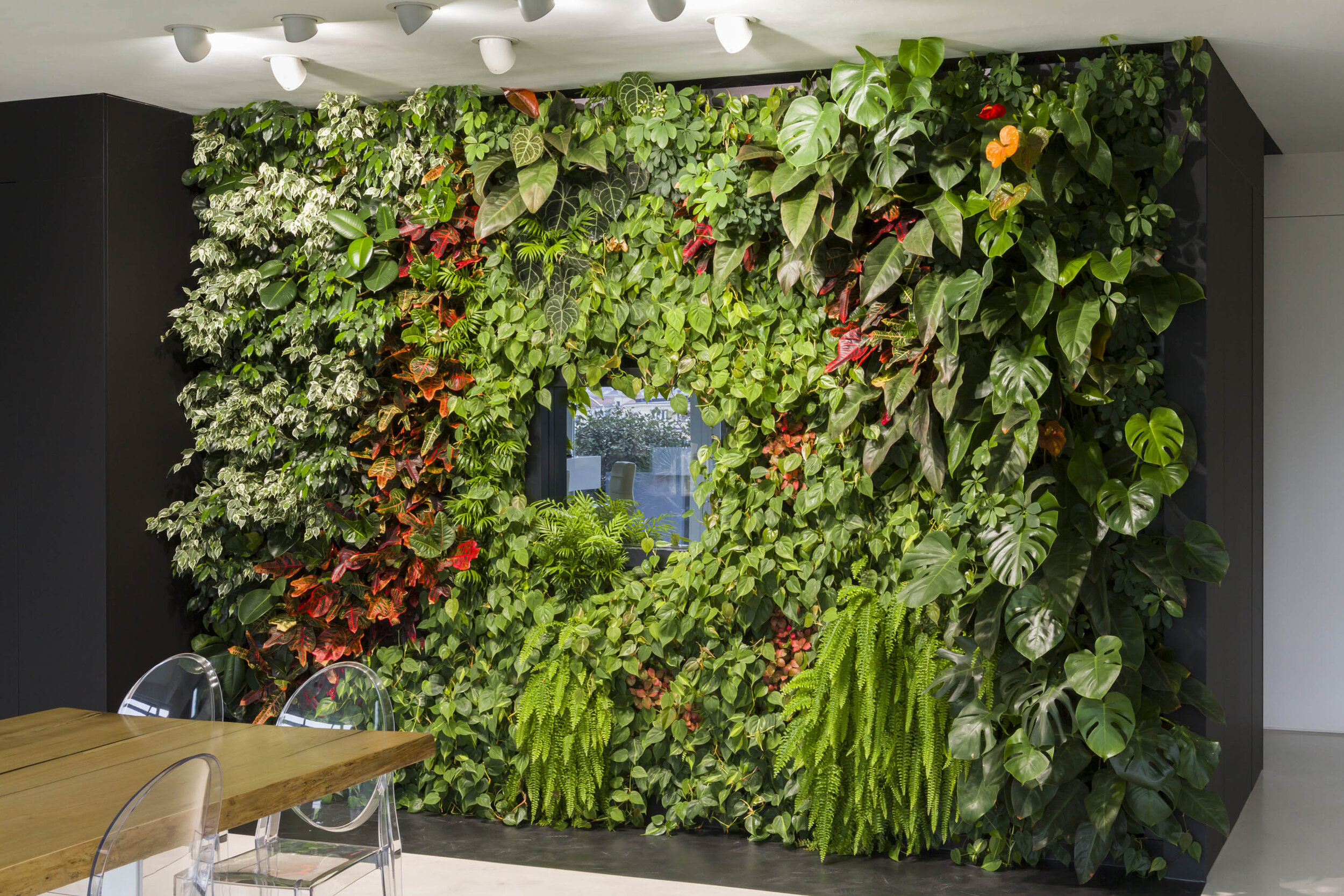 Living Wall, Vertical Garden, Green Wall, Indoor, Residential, Gastaldi, Torino