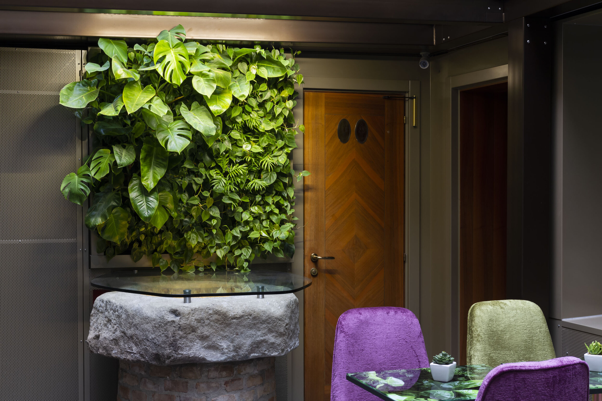 Living Wall, Vertical Garden, Green Wall, Indoor, Non-Residential, Hotel Paganelli, Venice