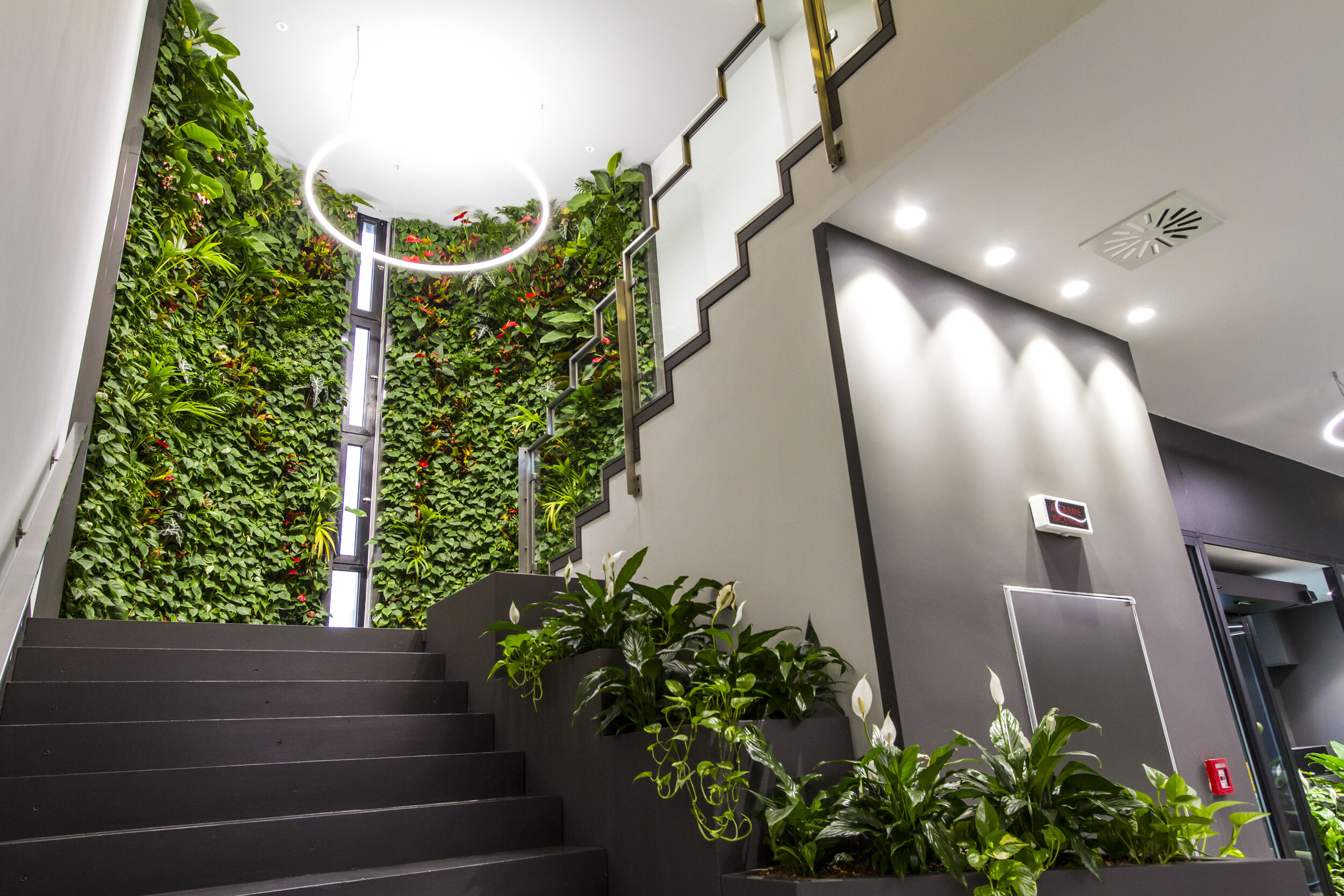 Living Wall, Vertical Garden, Green Wall, Indoor, Non-Residential, SPAC, Vicenza