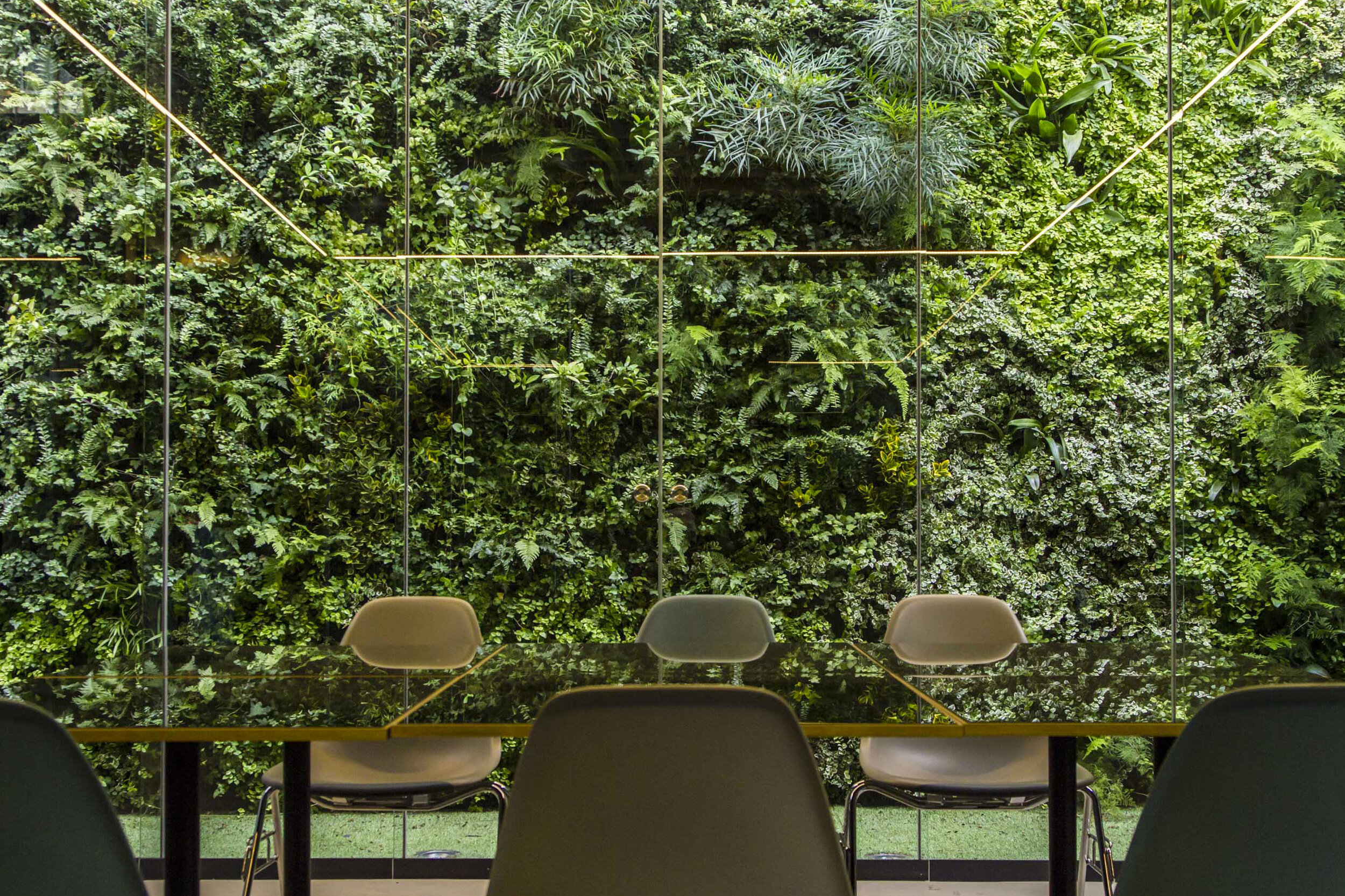 Living Wall, Vertical Garden, Green Wall, Outdoor, Non-residential, Cuccuini, Livorno