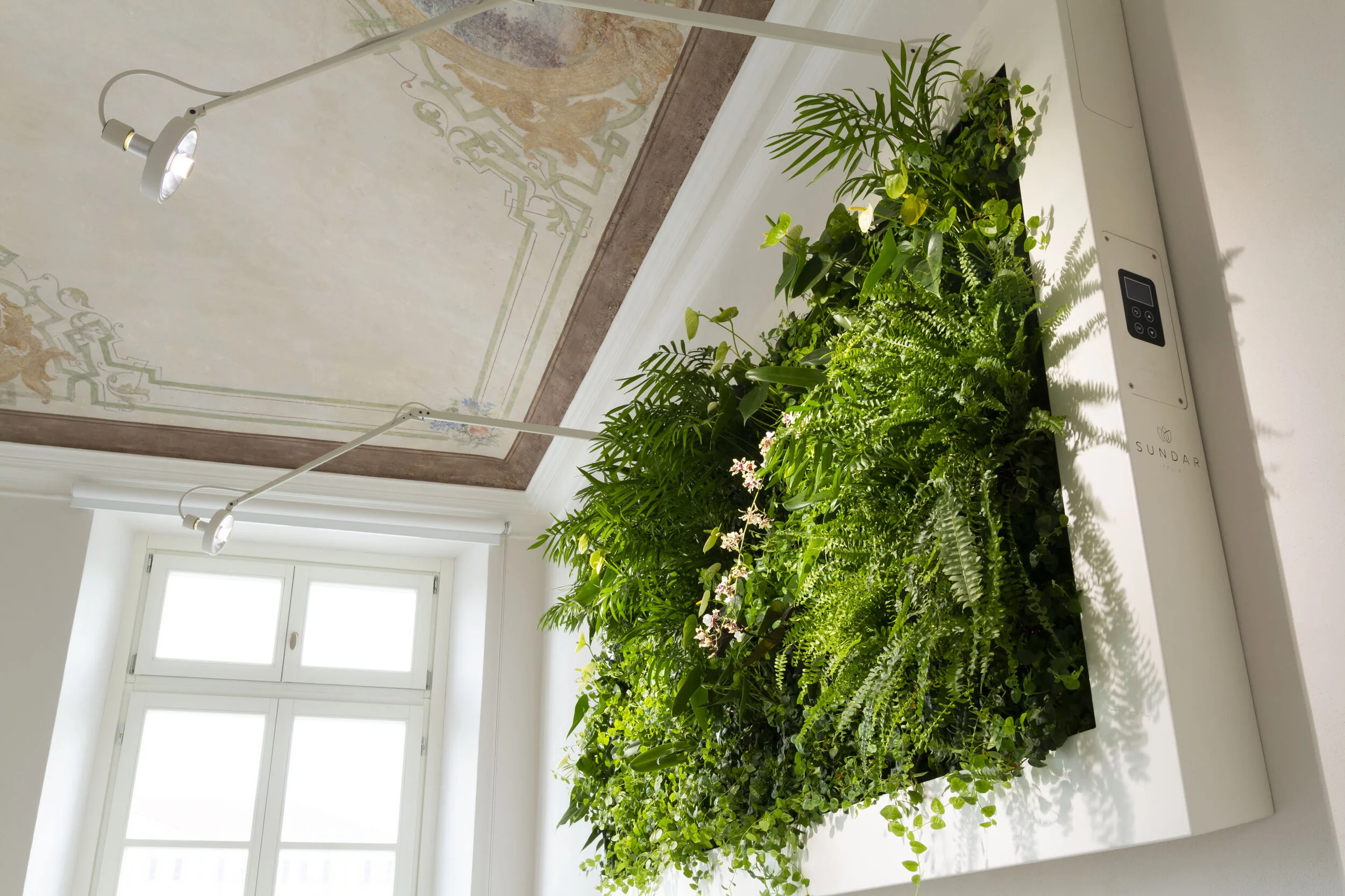 Bouquet of green plants and flowers in a container on a white surface in a bright room with a decorated ceiling and window