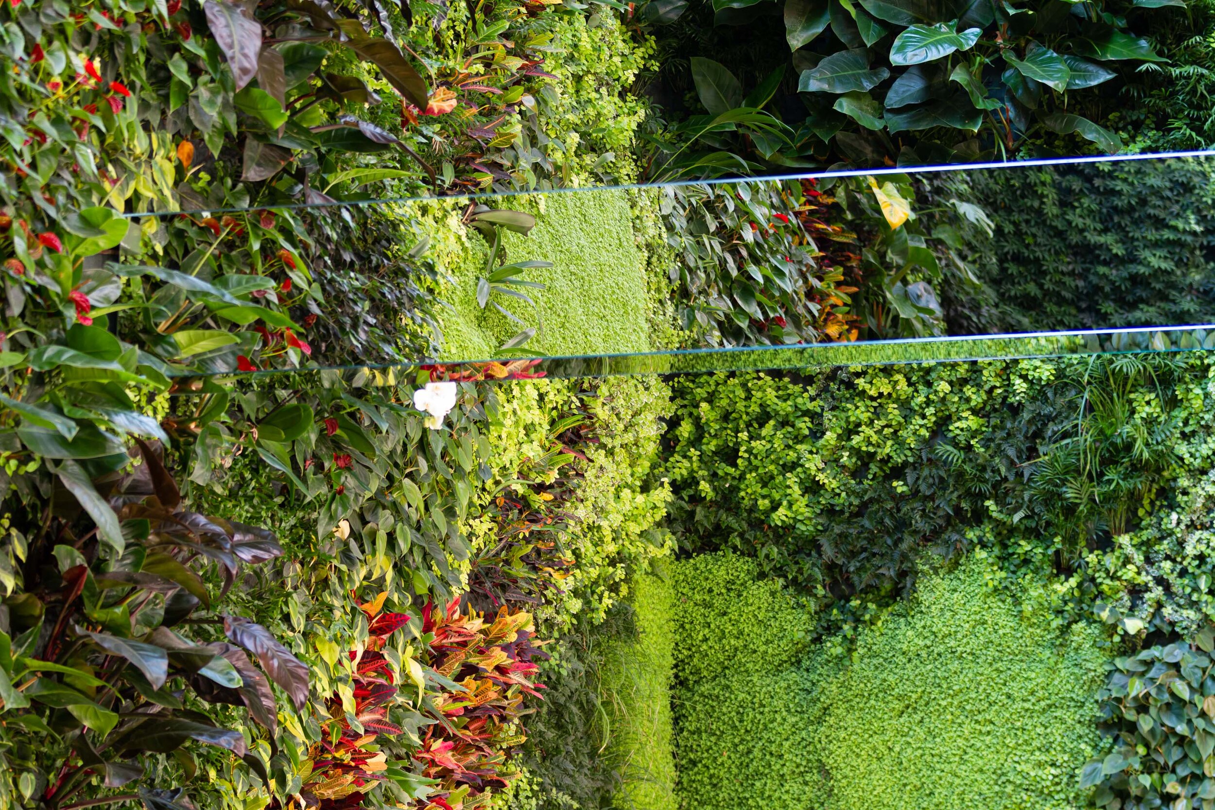 real-mutual-turin-garden-vertical-wall-green-sundar-italia-011.JPG