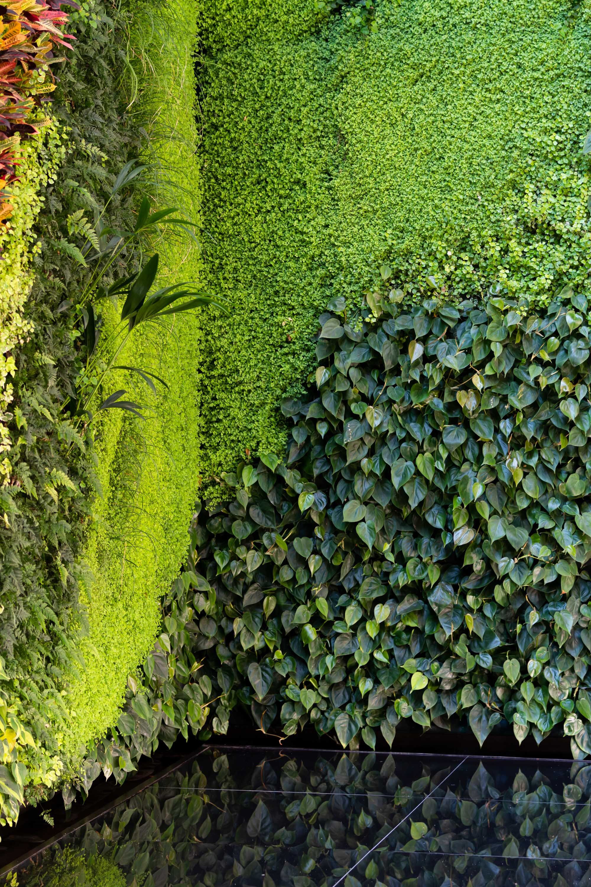 real-mutual-turin-garden-vertical-wall-green-sundar-italia-012.JPG