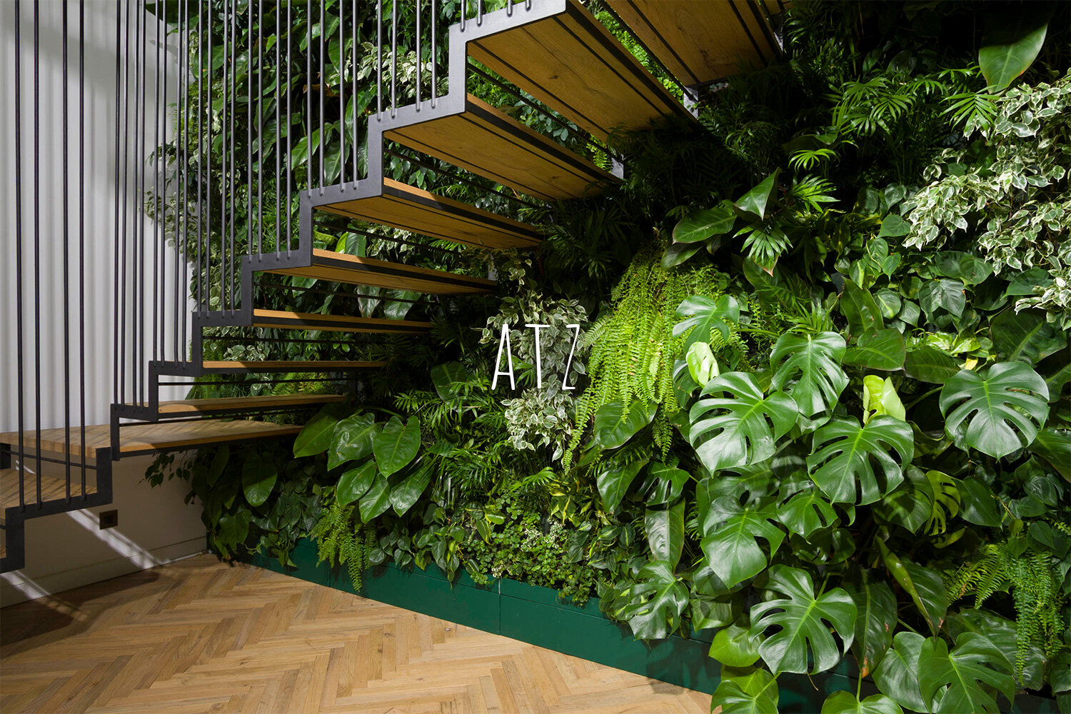 Living Wall, Vertical Garden, Green Wall, Indoor, Residential, ATZ, Rome