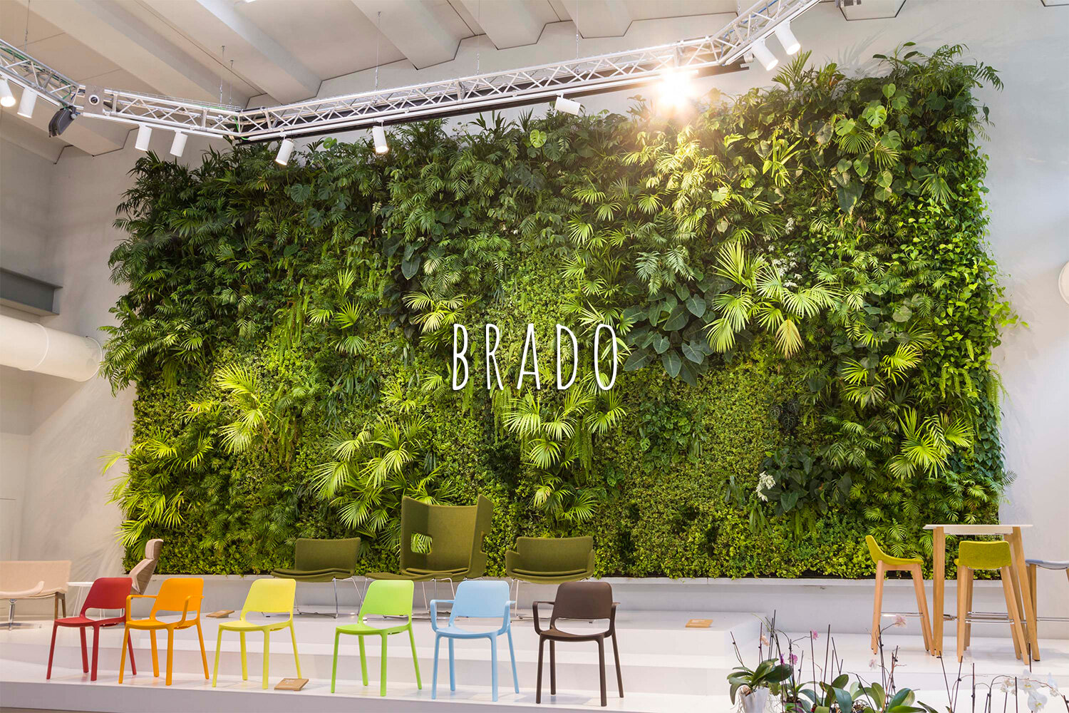 Living Wall, Vertical Garden, Green Wall, Indoor, Non-residential, Brado, Treviso