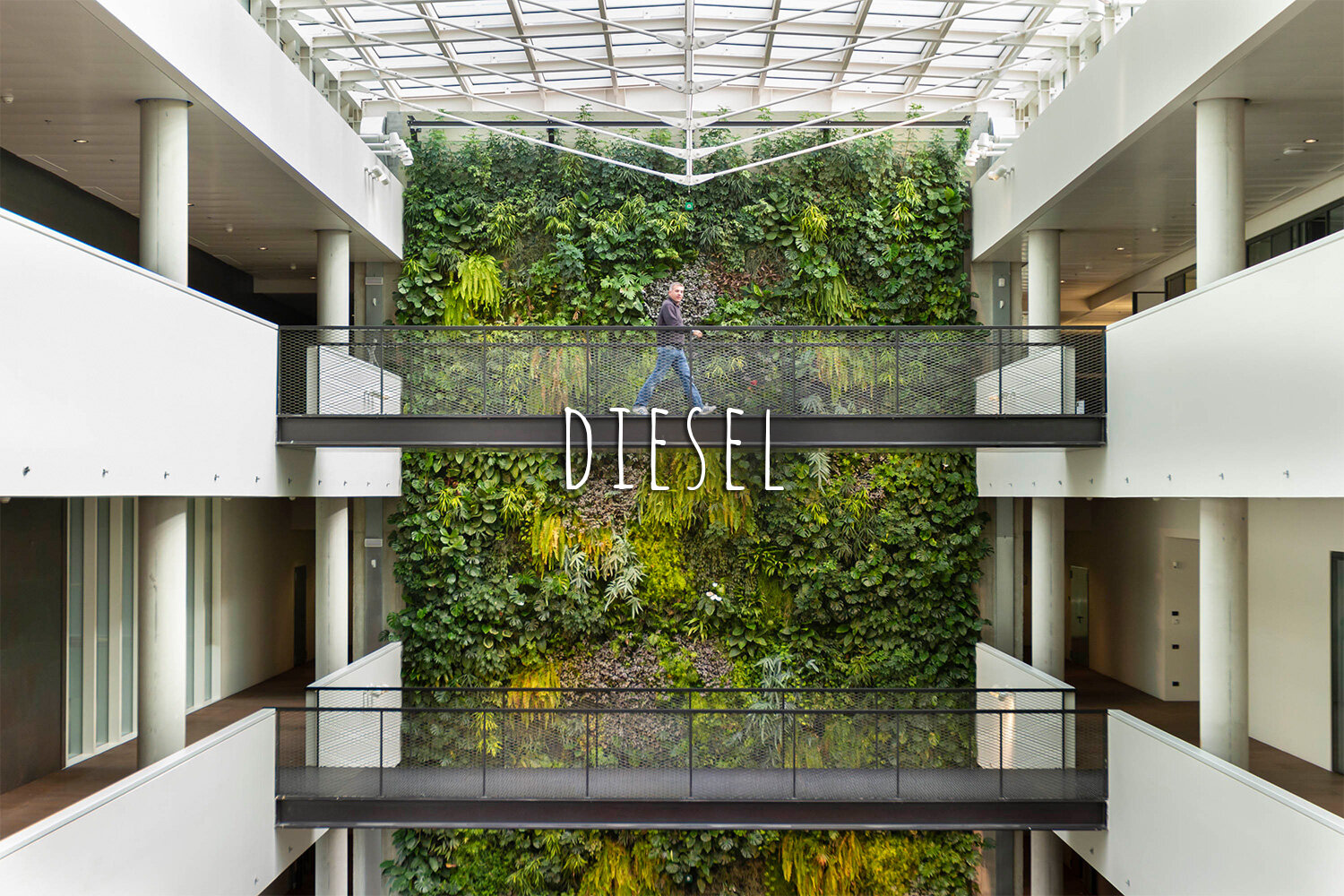 Living Wall, Vertical Garden, Green Wall, Interior, Non-residential, Diesel, Vicenza