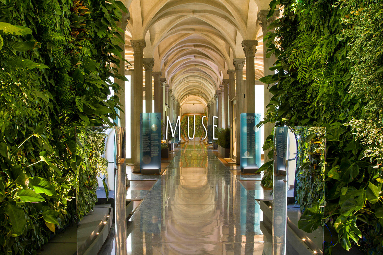Living Wall, Vertical Garden, Green Wall, Interior, Non-residential, MUSE, Florence, Florence