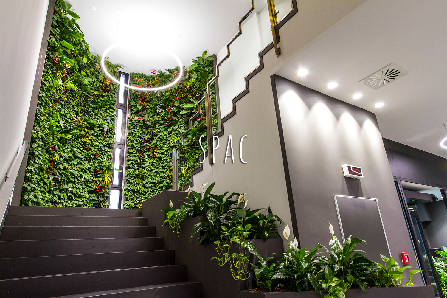 Living Wall, Vertical Garden, Green Wall, Indoor, Non-residential, SPAC, Vicenza