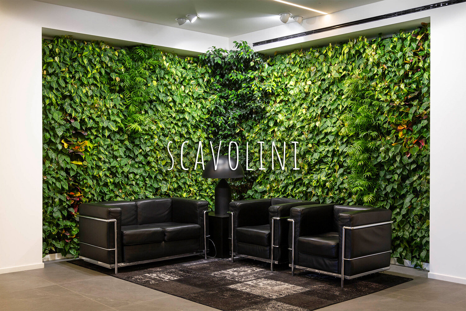 Living Wall, Vertical Garden, Green Wall, Interior, Non-residential, Scavolini, Pesaro