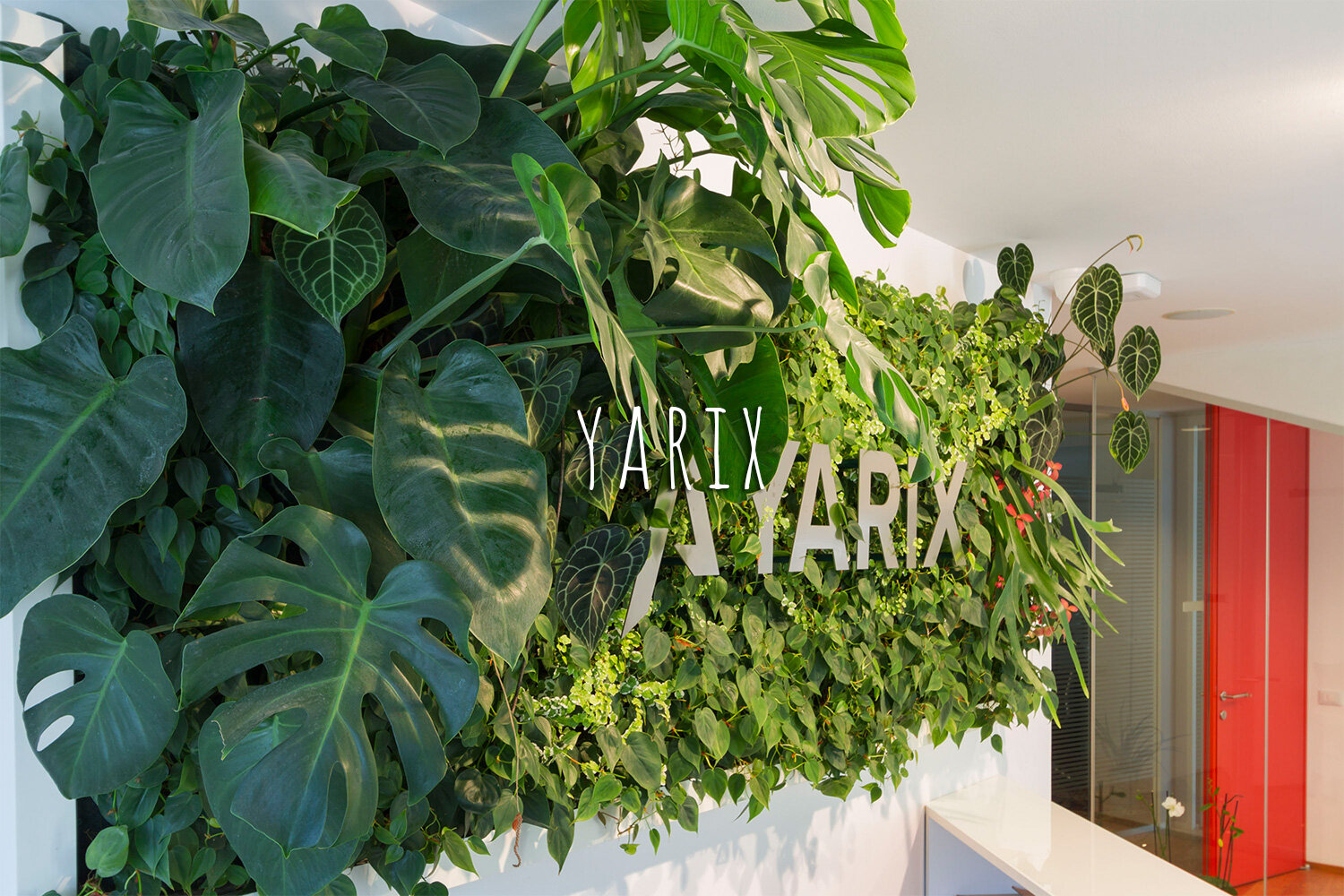 Living Wall, Vertical Garden, Green Wall, Indoor, Non-residential, Yarix, Treviso, Treviso